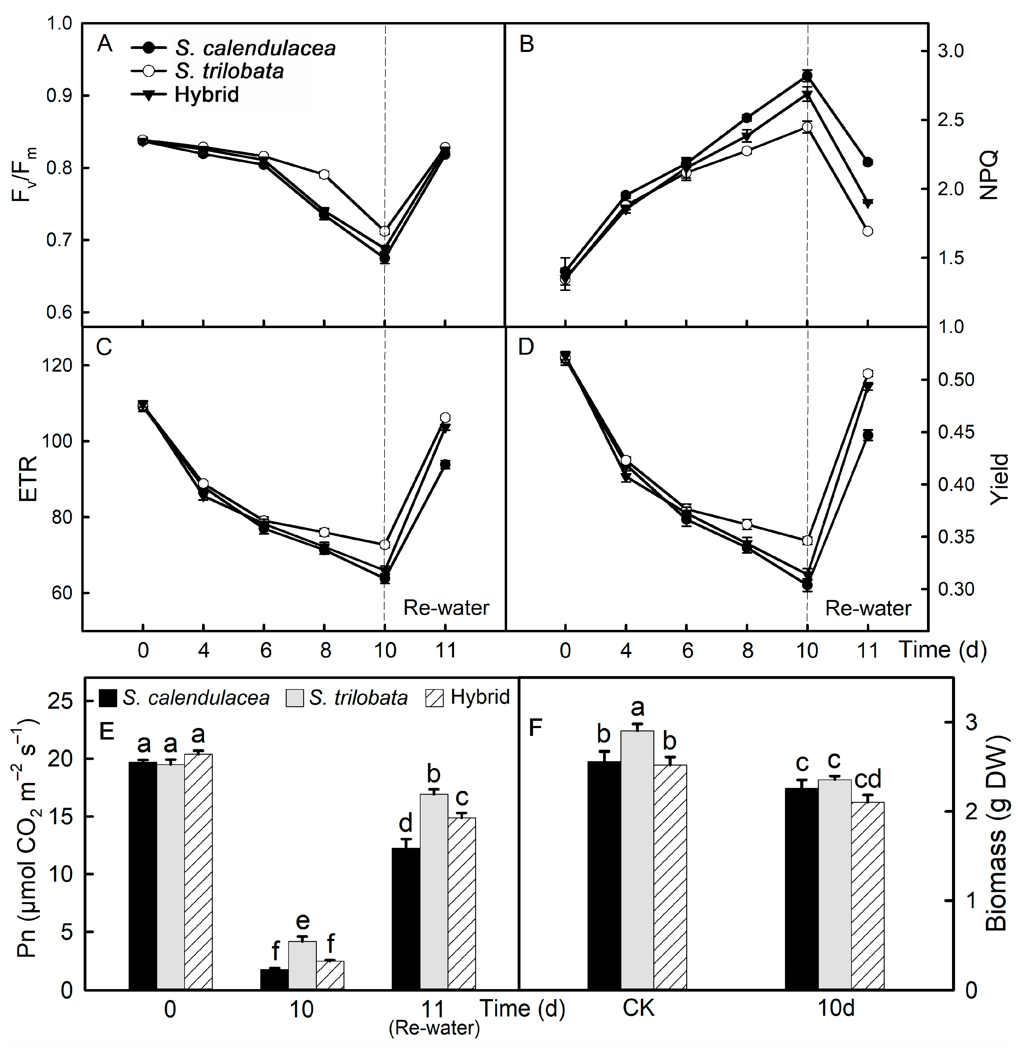 Ijms 22 11288 g004 550