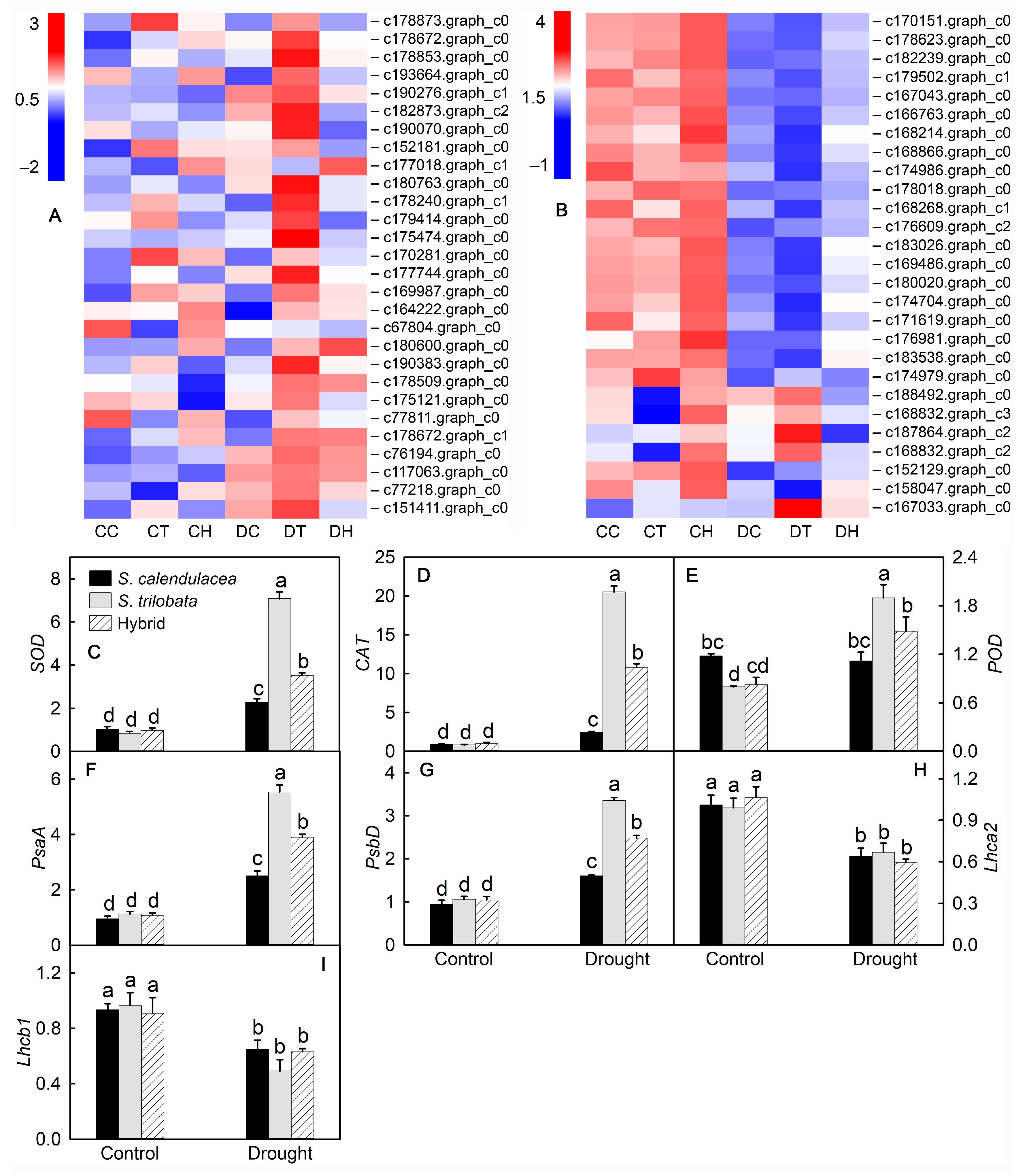 Ijms 22 11288 g006 550