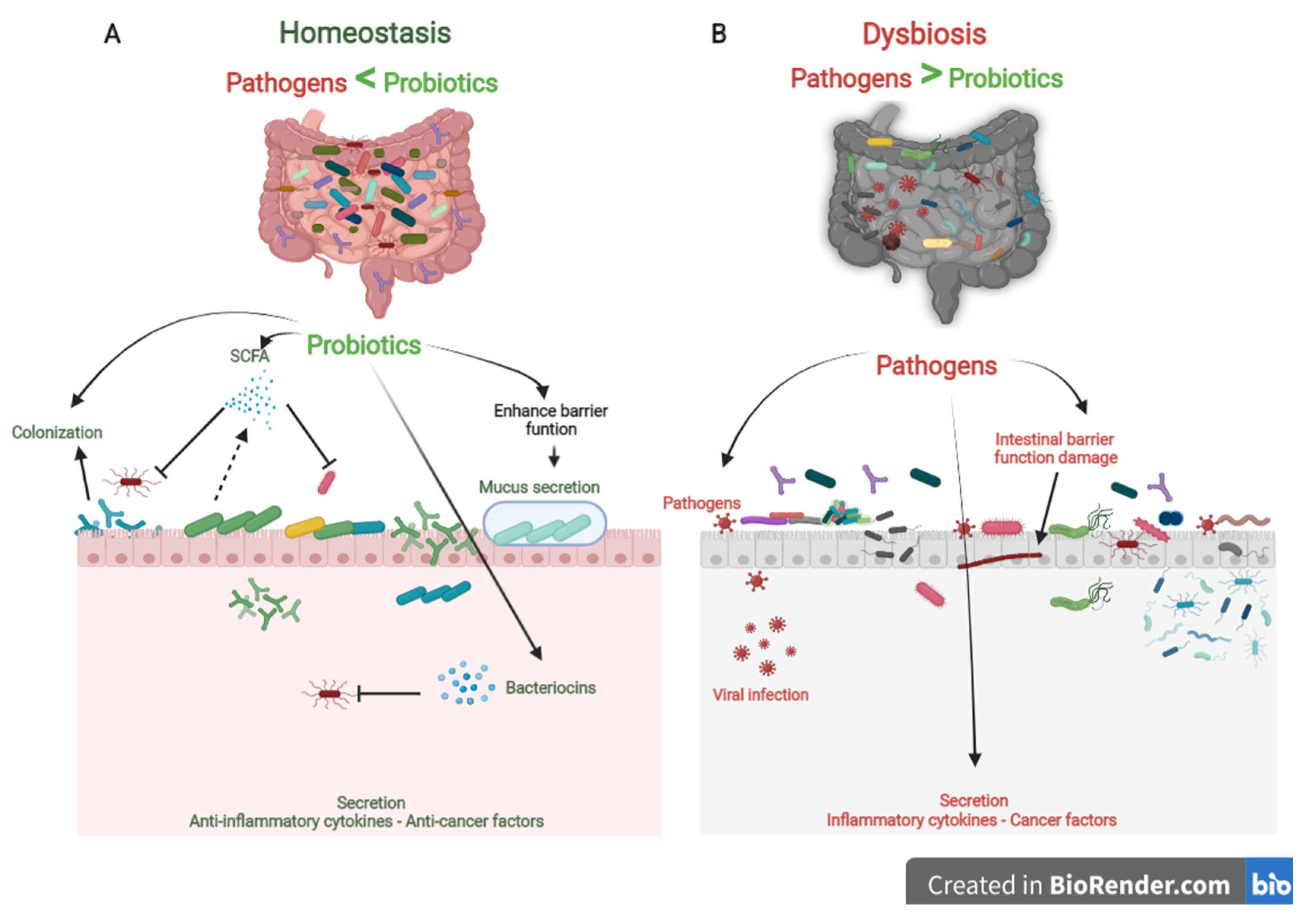 Probiotic markedly reduces S. aureus colonization in Phase 2 trial