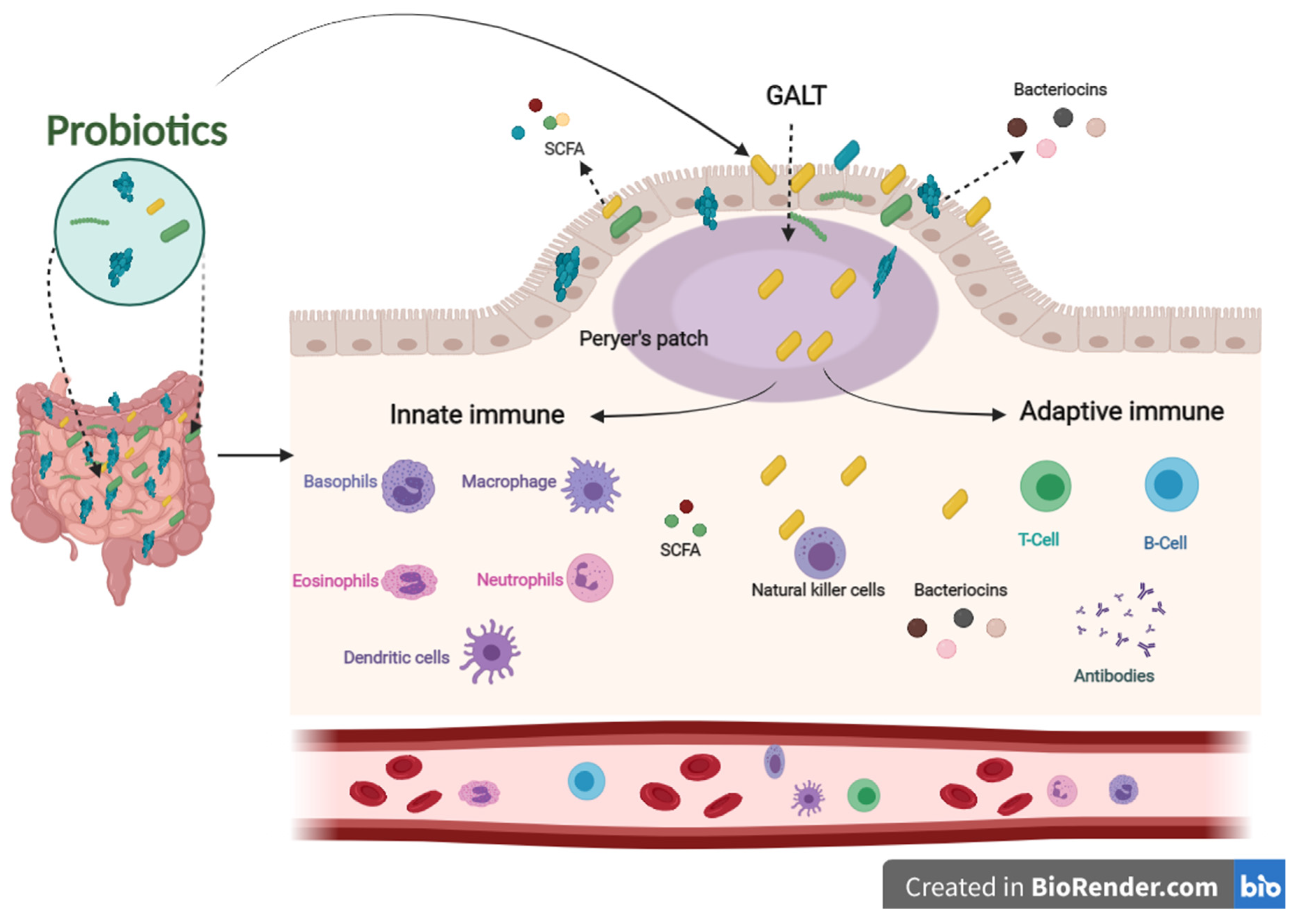 Ijms 22 11290 g002 Ijms 22 11290 g002