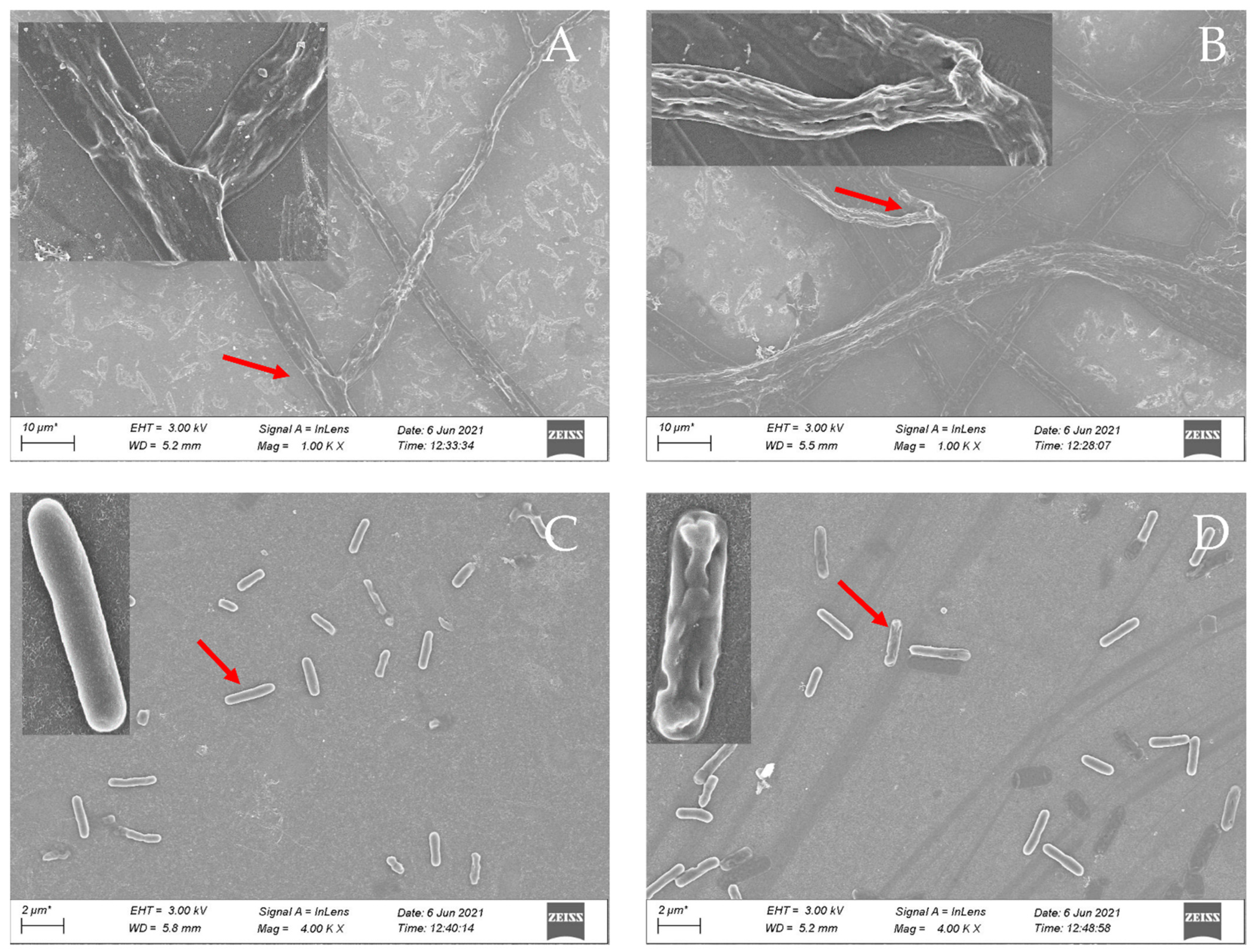 Ijms 22 11299 g005 550