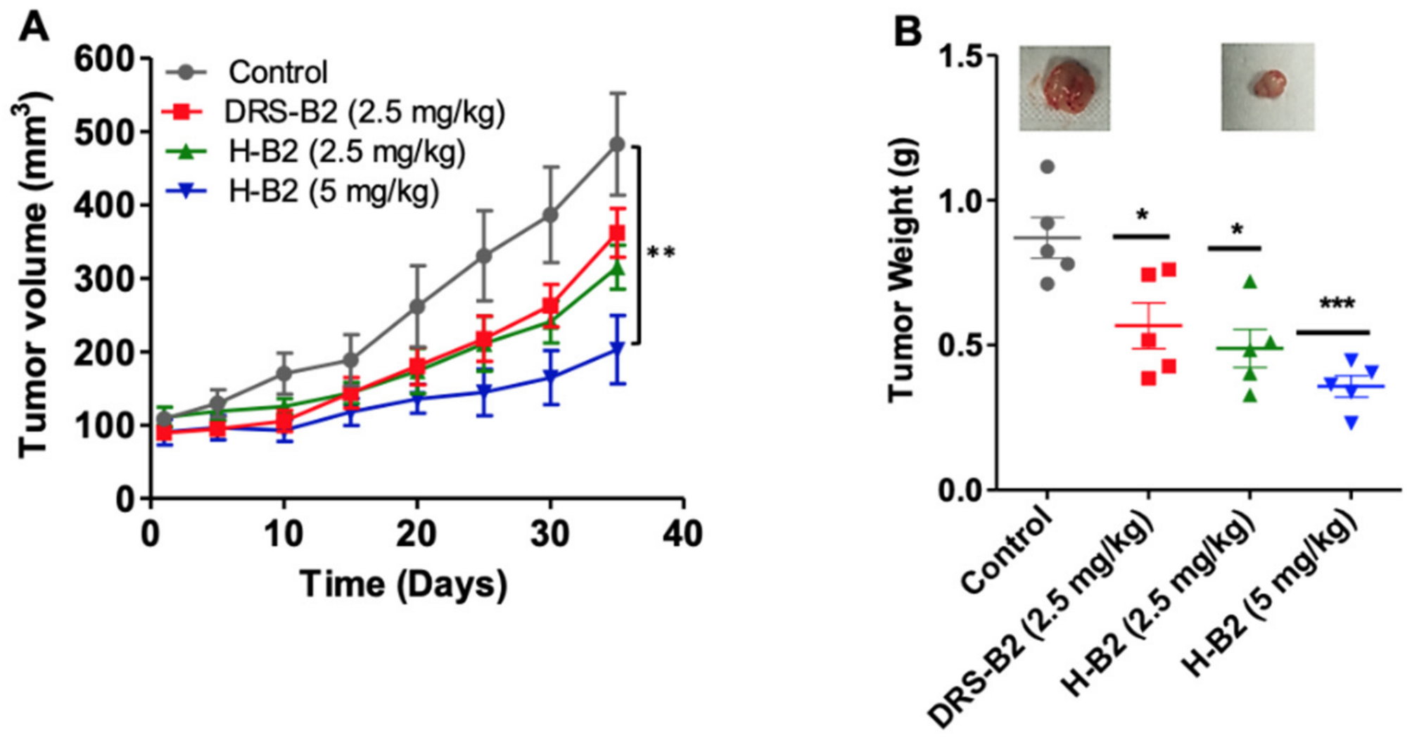 Ijms 22 11303 g004 550