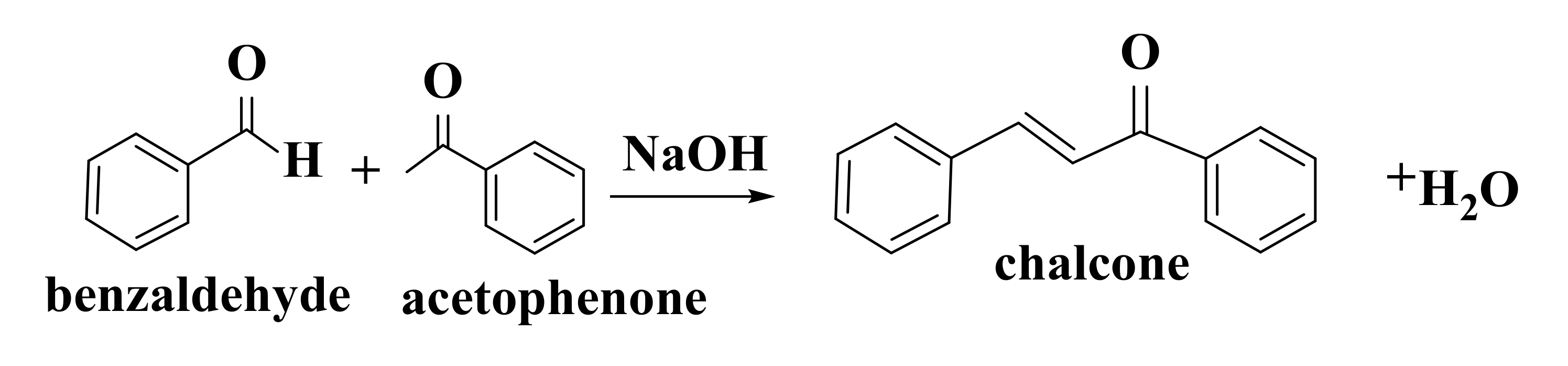 Ijms 22 11306 g006 550