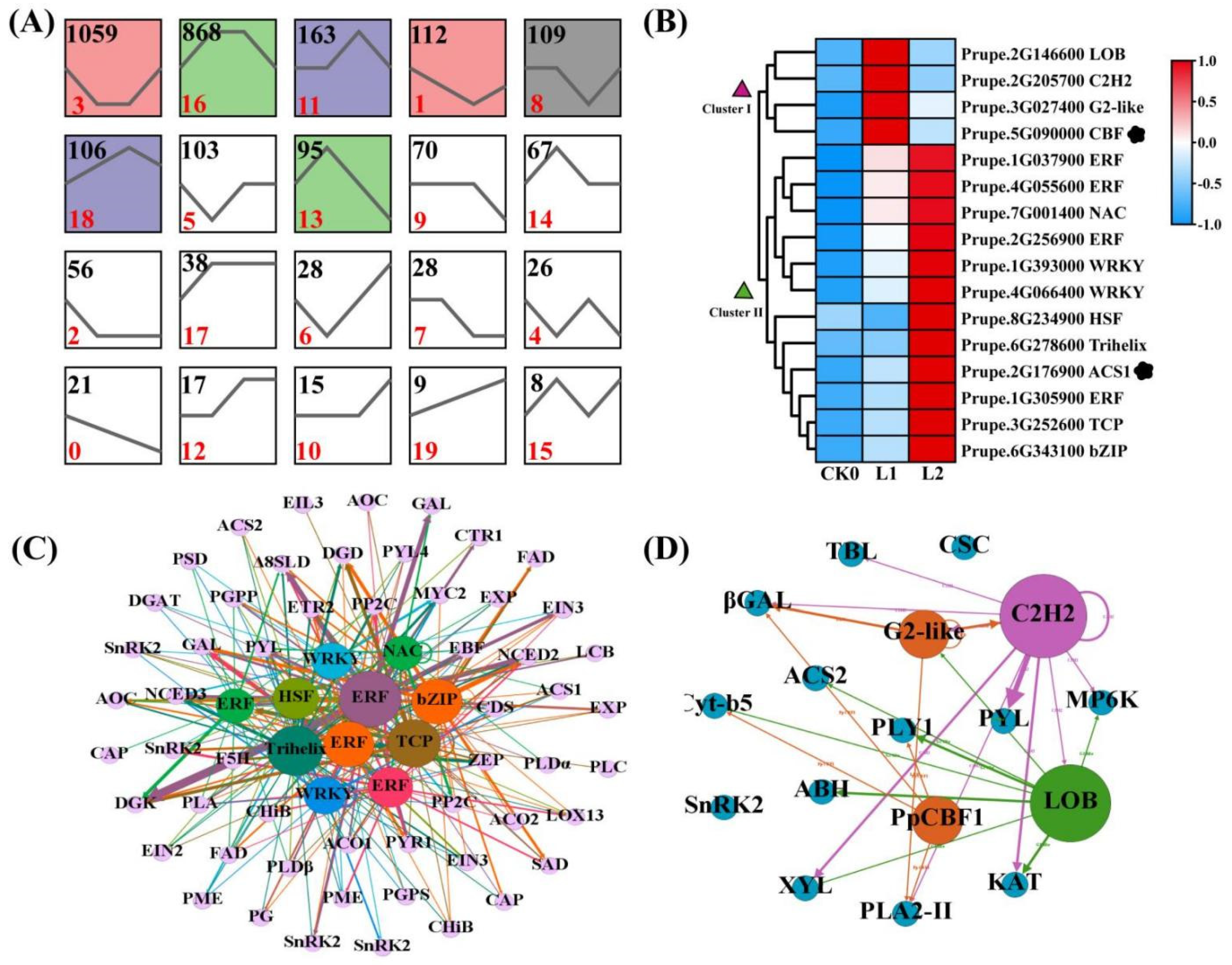 Ijms 22 11308 g007 550