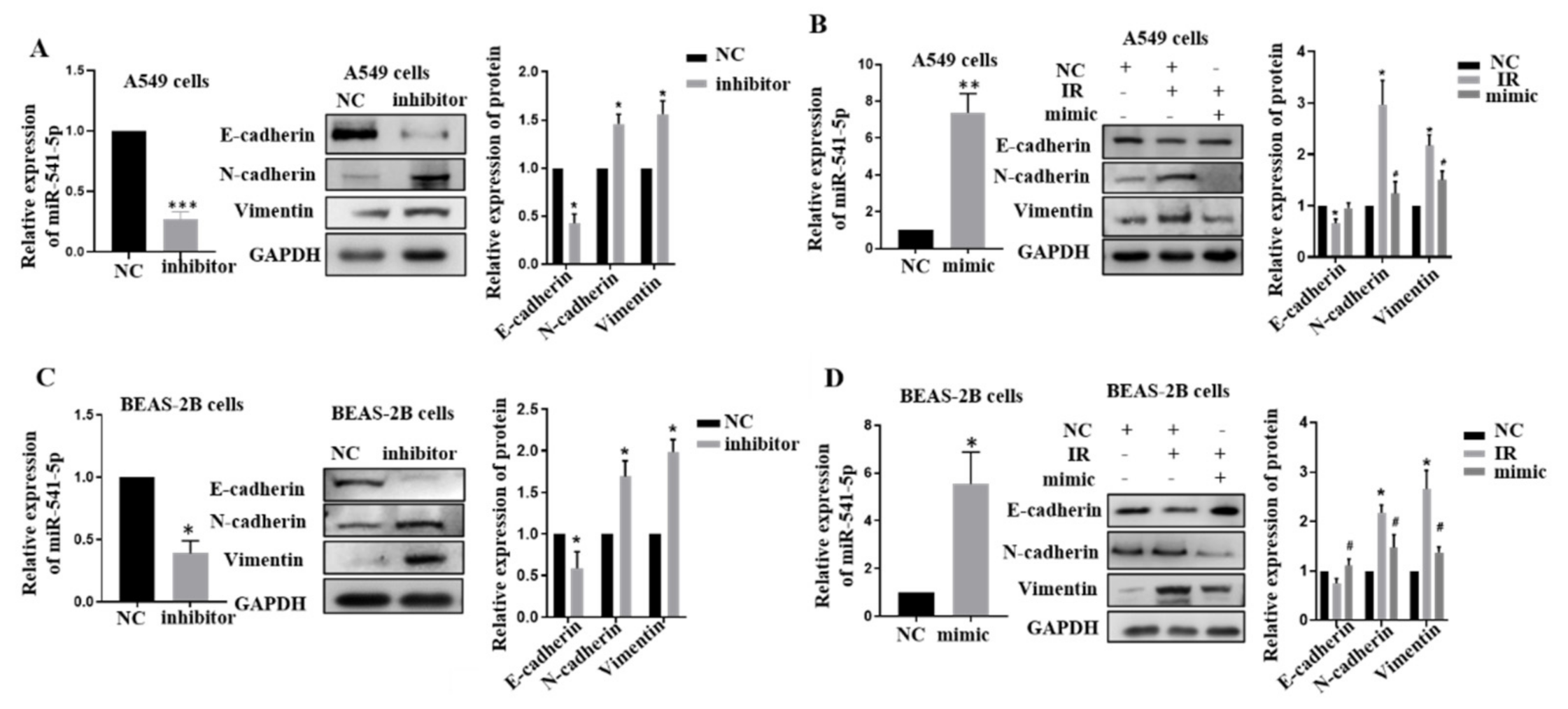 Ijms 22 11309 g002 550