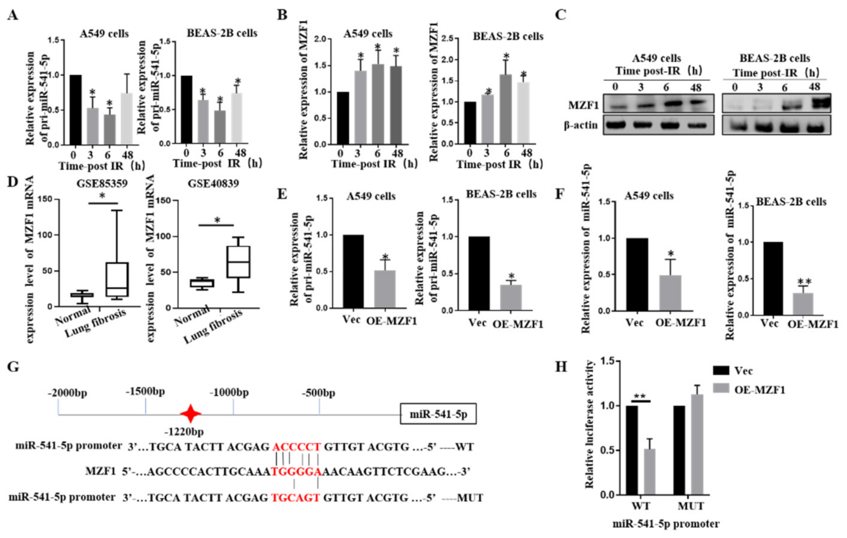 Ijms 22 11309 g005 550