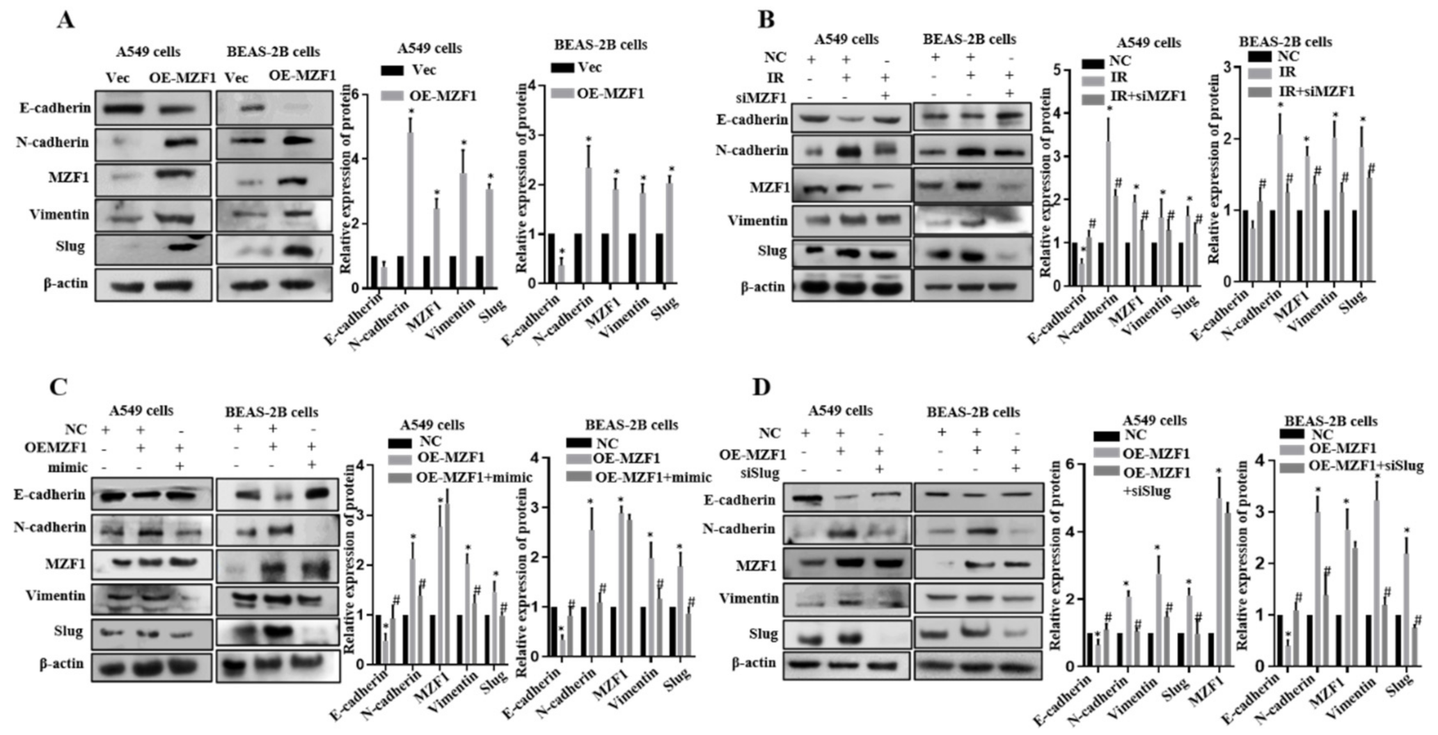Ijms 22 11309 g006 550