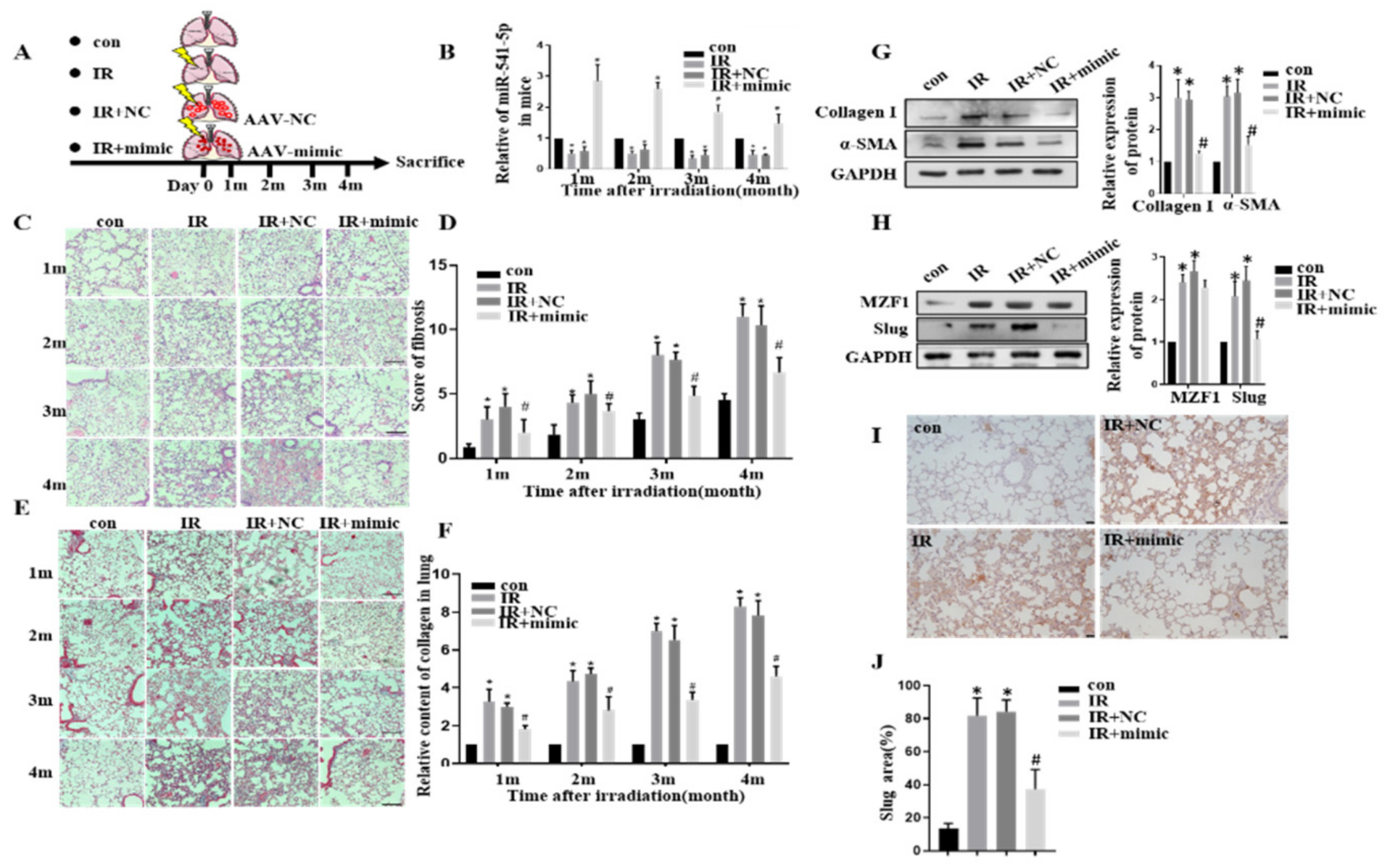 Ijms 22 11309 g007 550