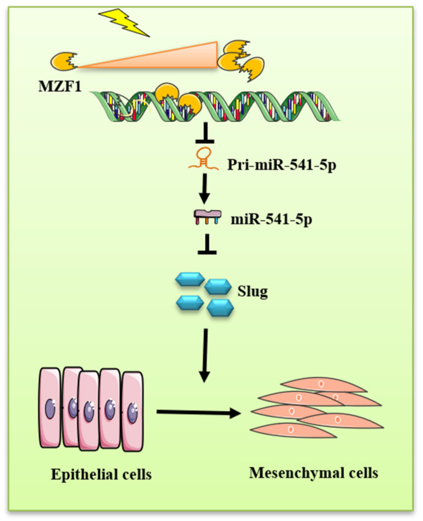 Ijms 22 11309 g008 550