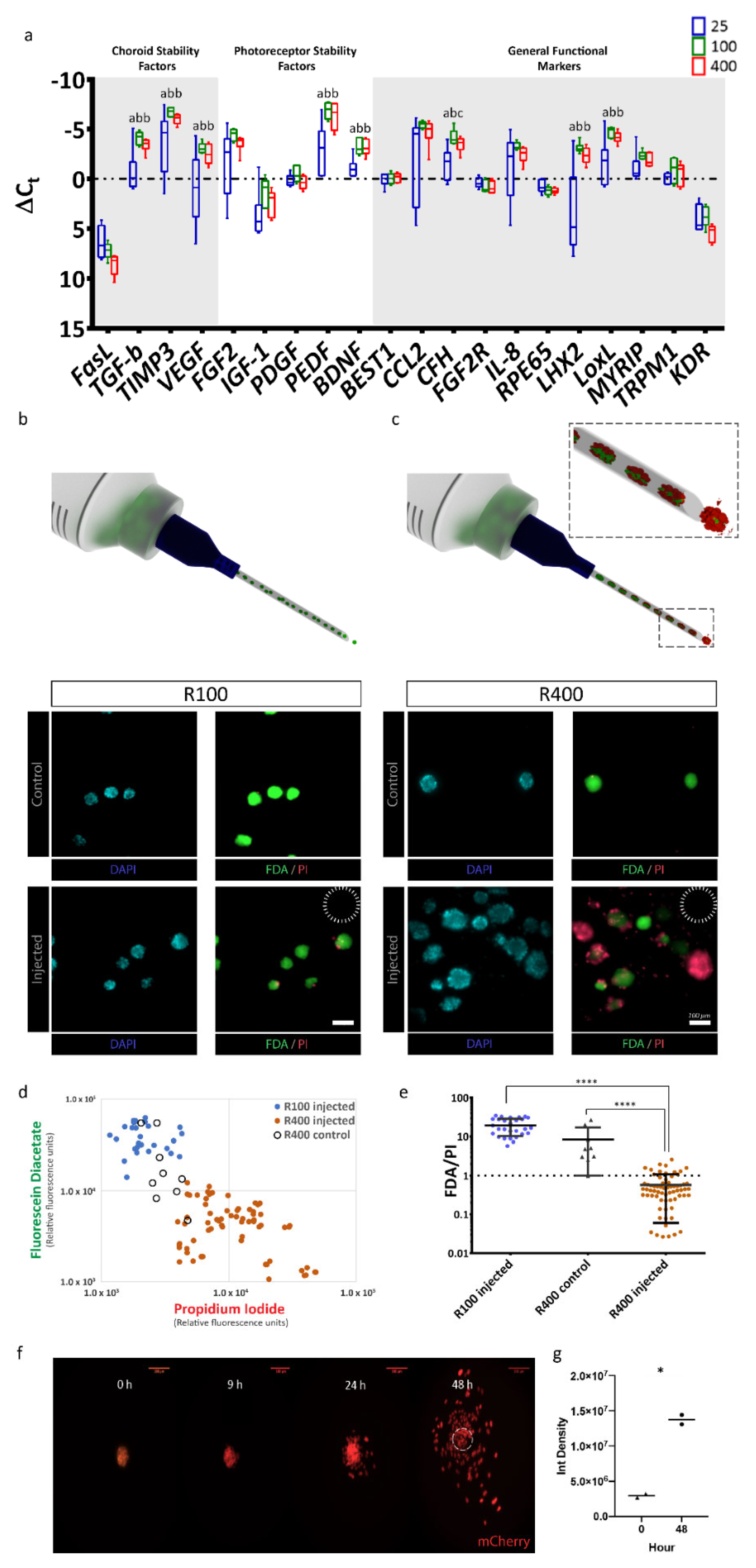 Ijms 22 11317 g002 Ijms 22 11317 g002