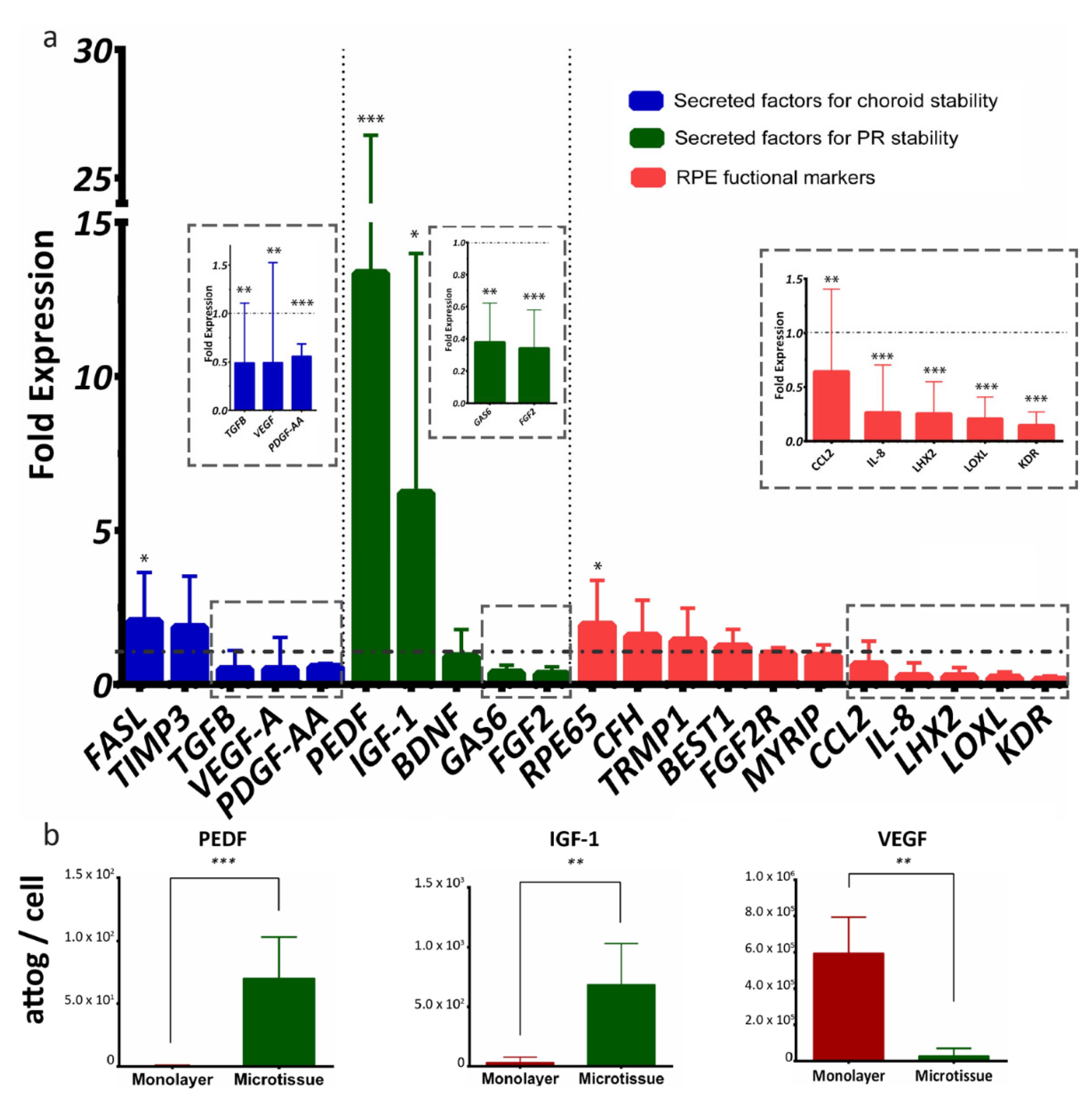 Ijms 22 11317 g004 Ijms 22 11317 g004