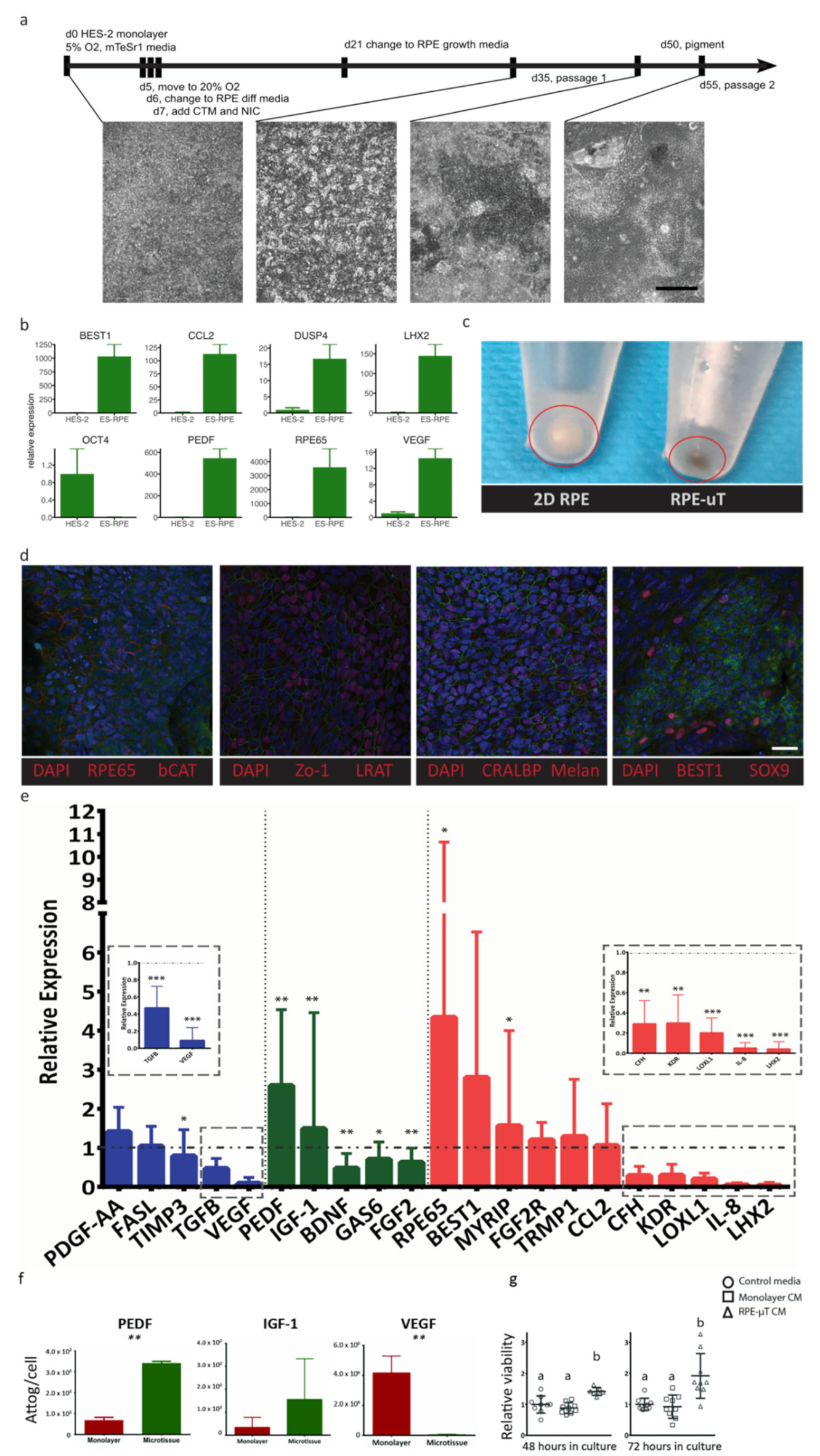 Ijms 22 11317 g005 Ijms 22 11317 g005