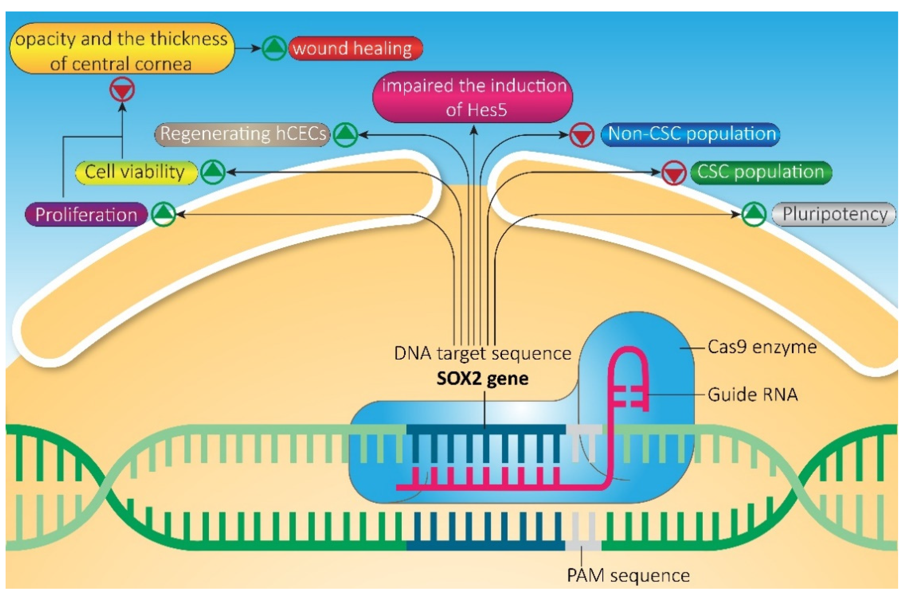 Ijms 22 11321 g006 550
