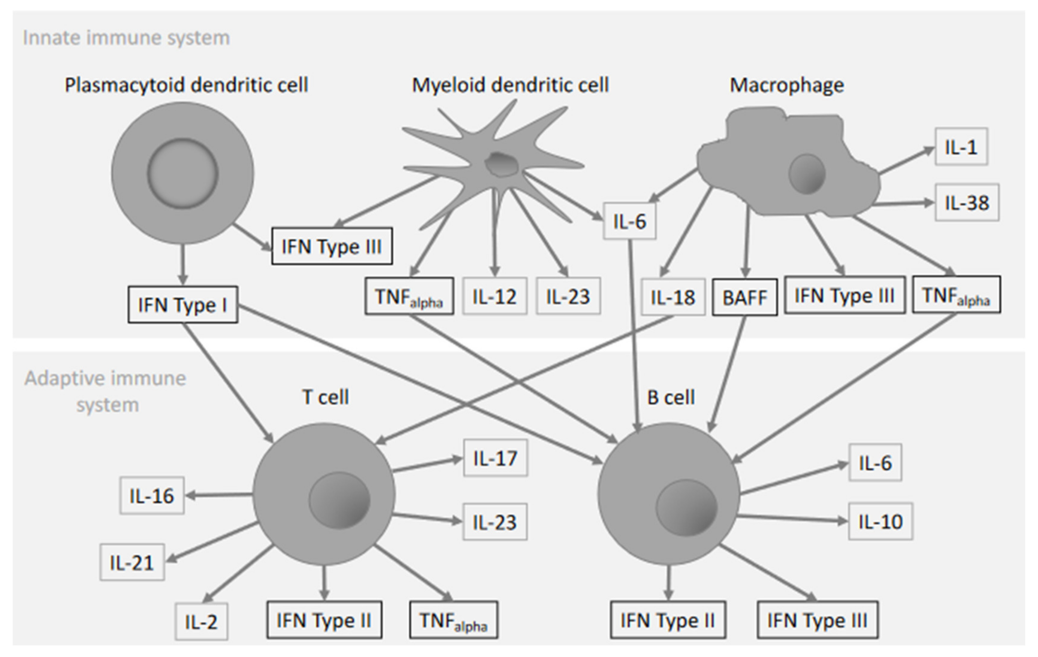 Ijms 22 11327 g001 550