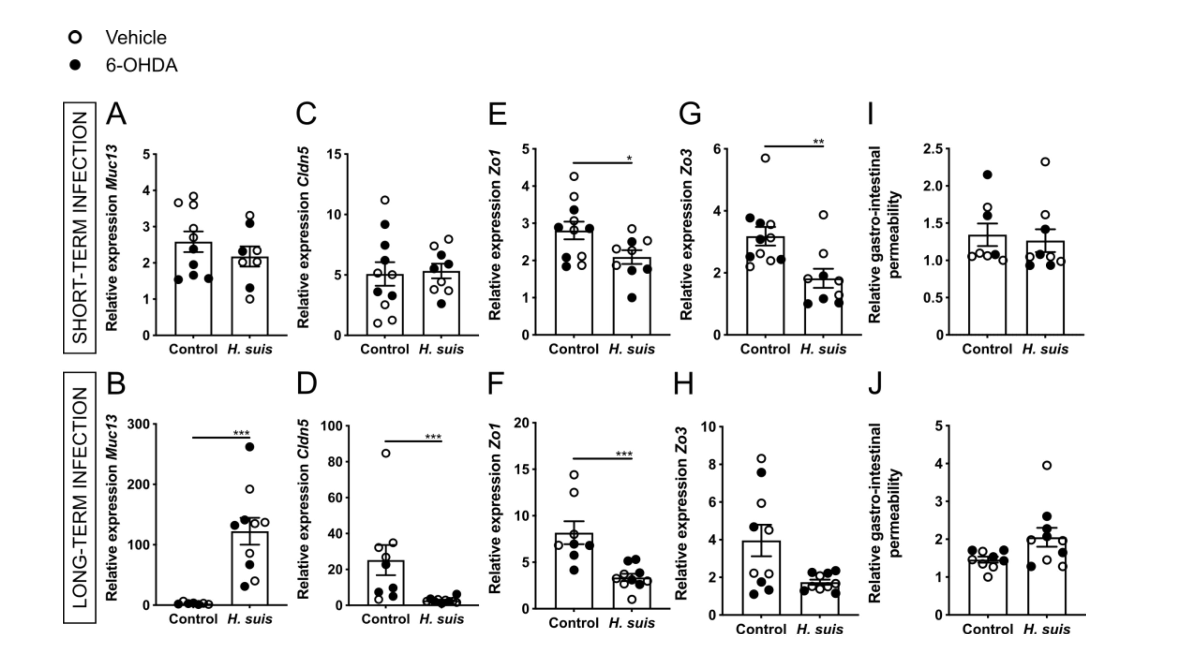 Ijms 22 11328 g003 550