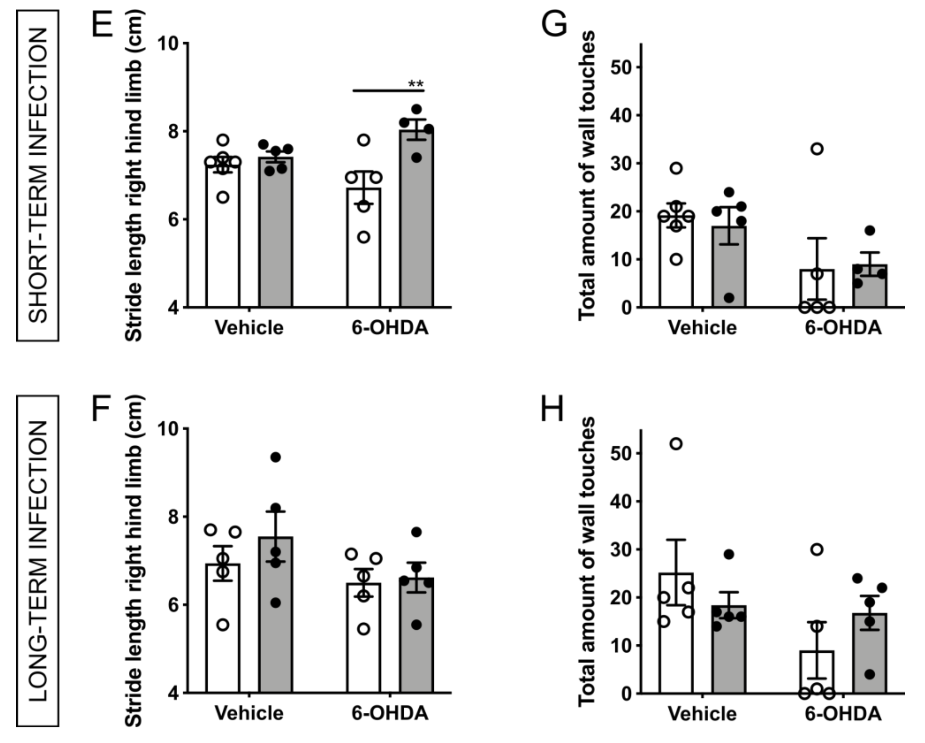 Ijms 22 11328 g004b 550