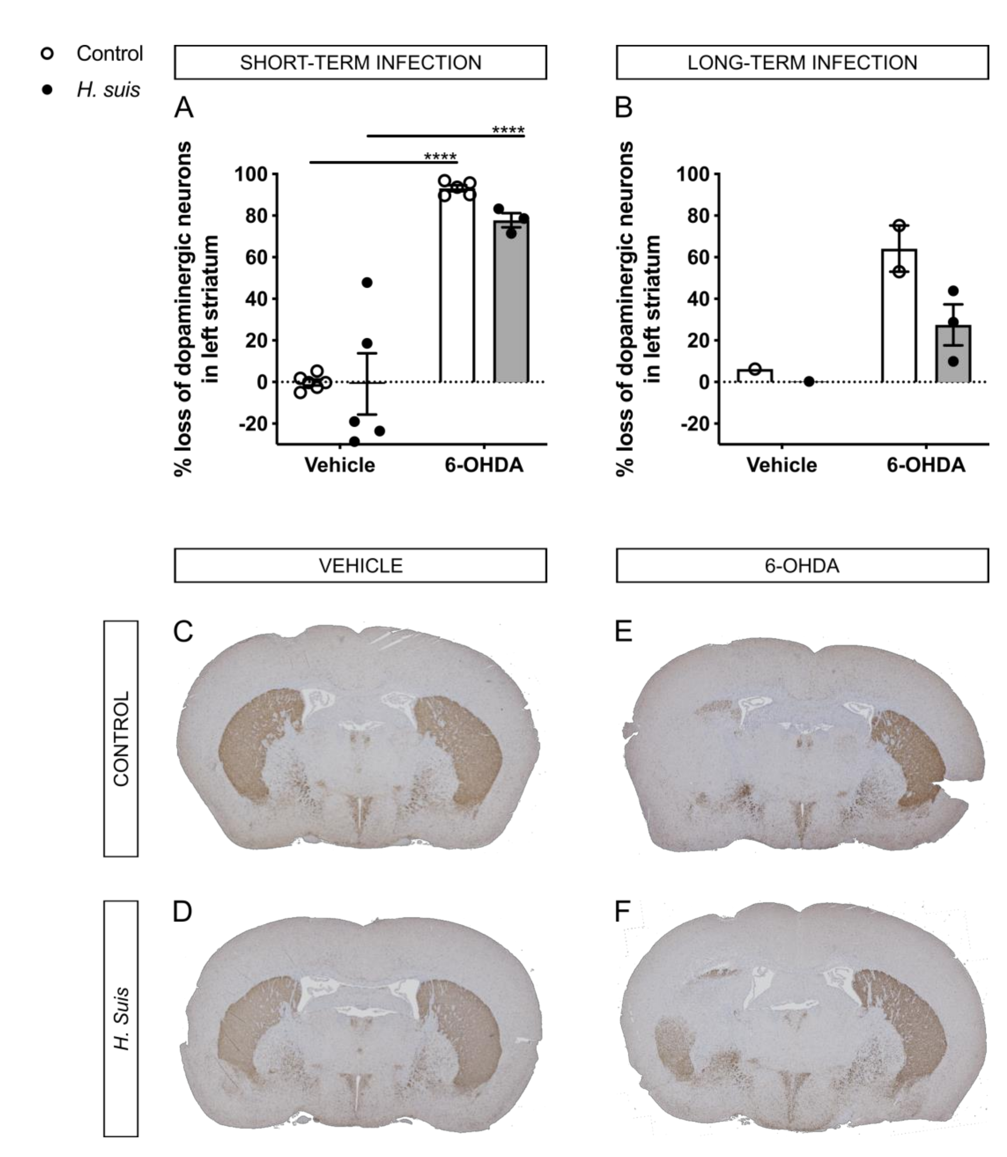 Ijms 22 11328 g005 550