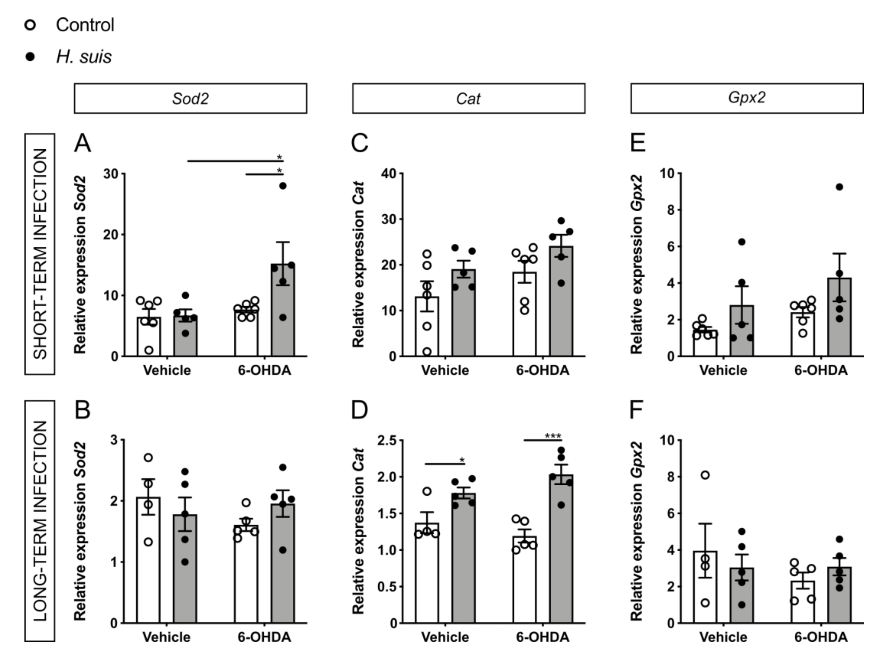 Ijms 22 11328 g007 550