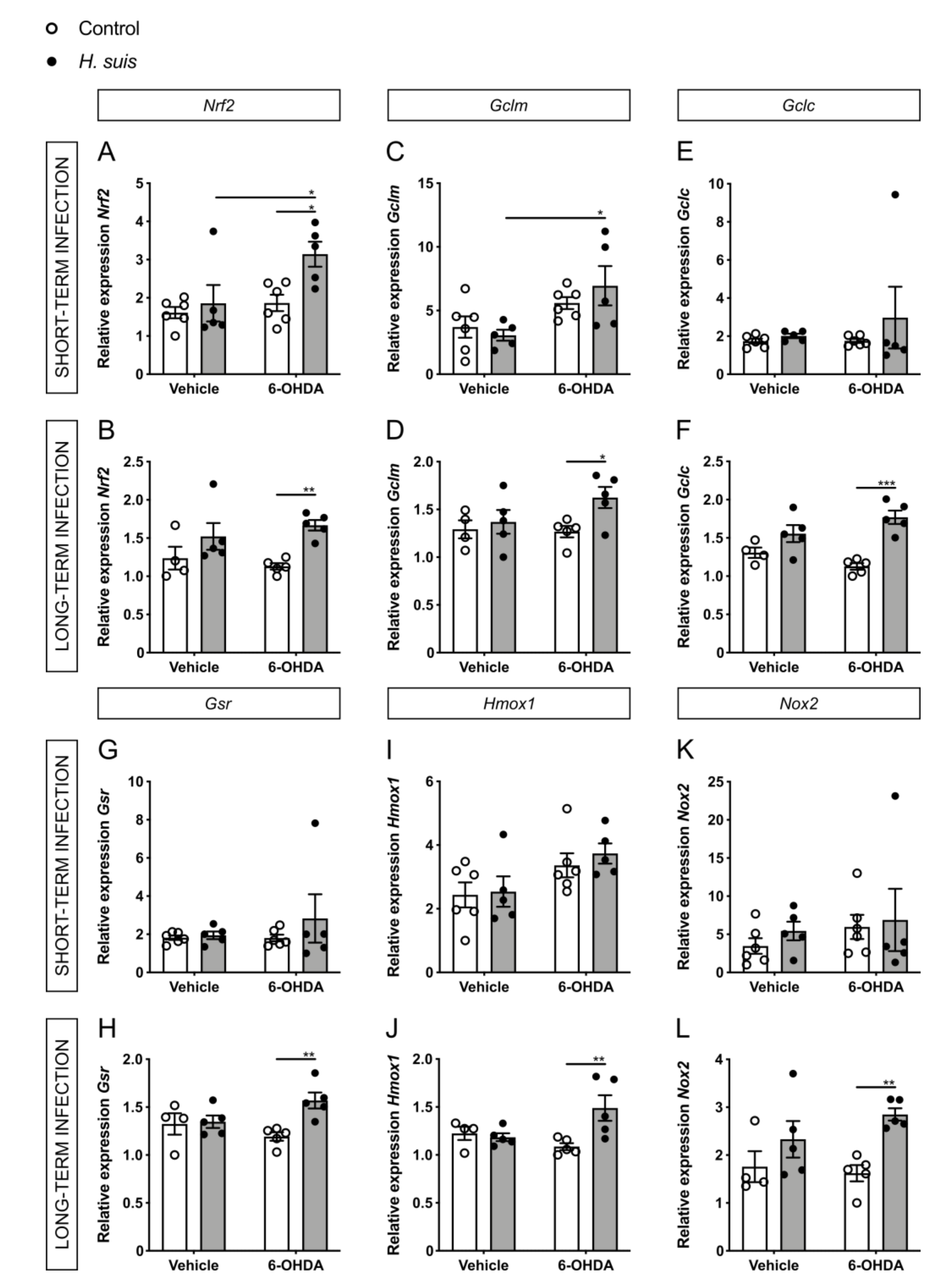 Ijms 22 11328 g008 550