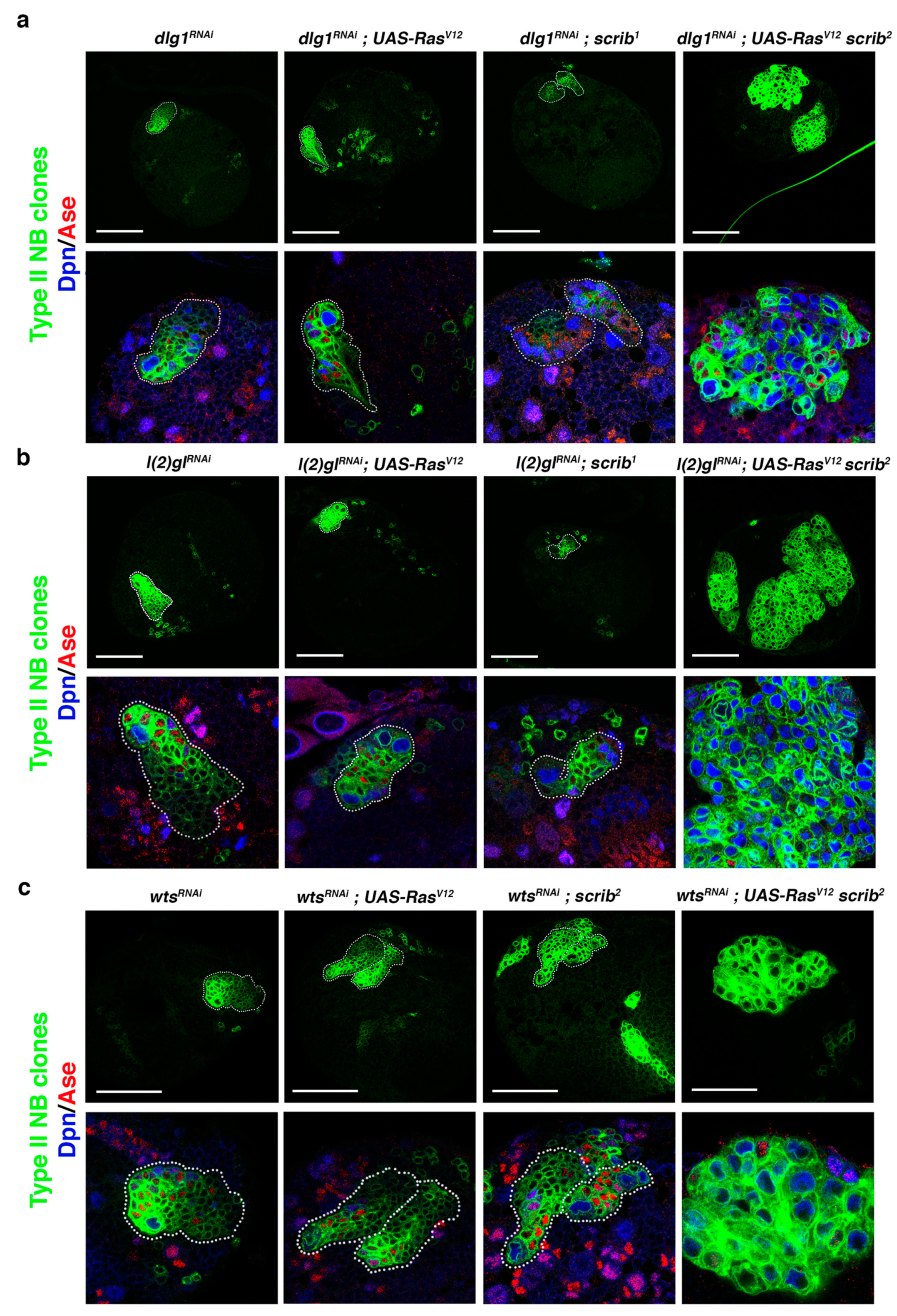 Ijms 22 11332 g002 Ijms 22 11332 g002
