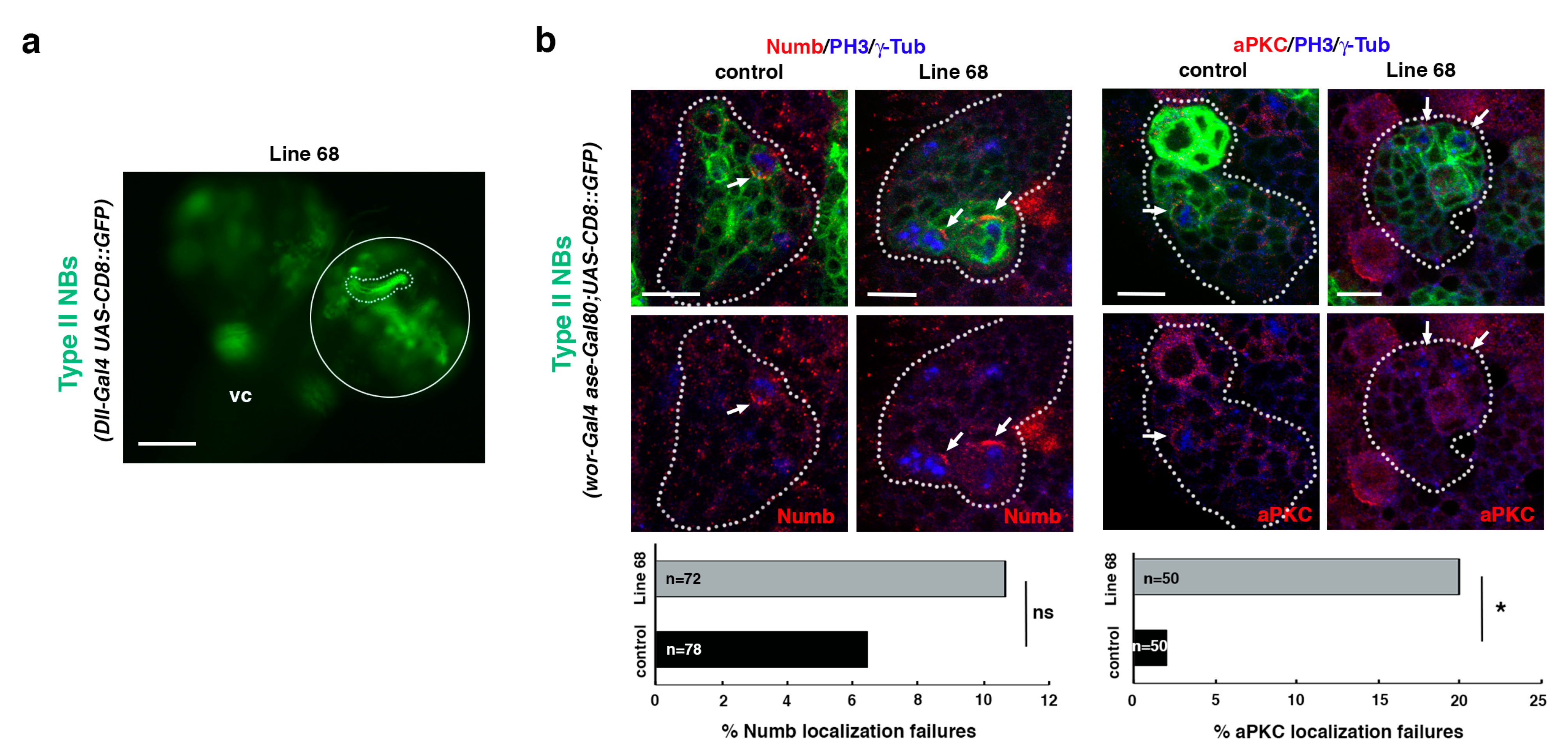 Ijms 22 11332 g006 Ijms 22 11332 g006