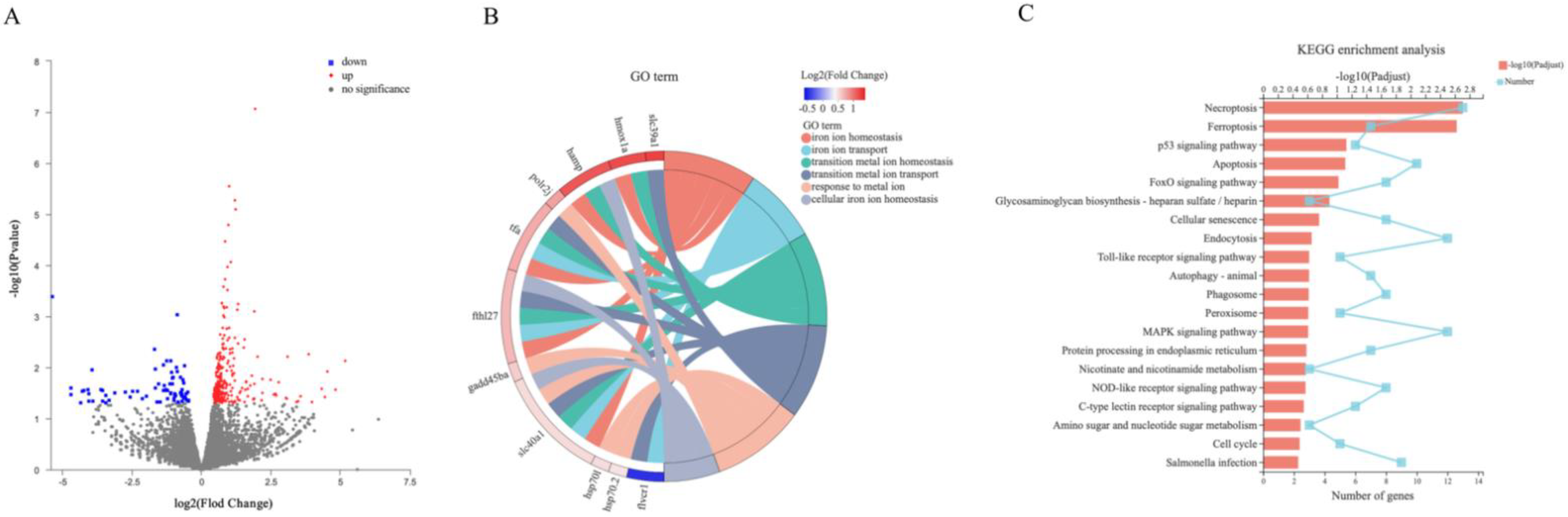 Ijms 22 11334 g005 550