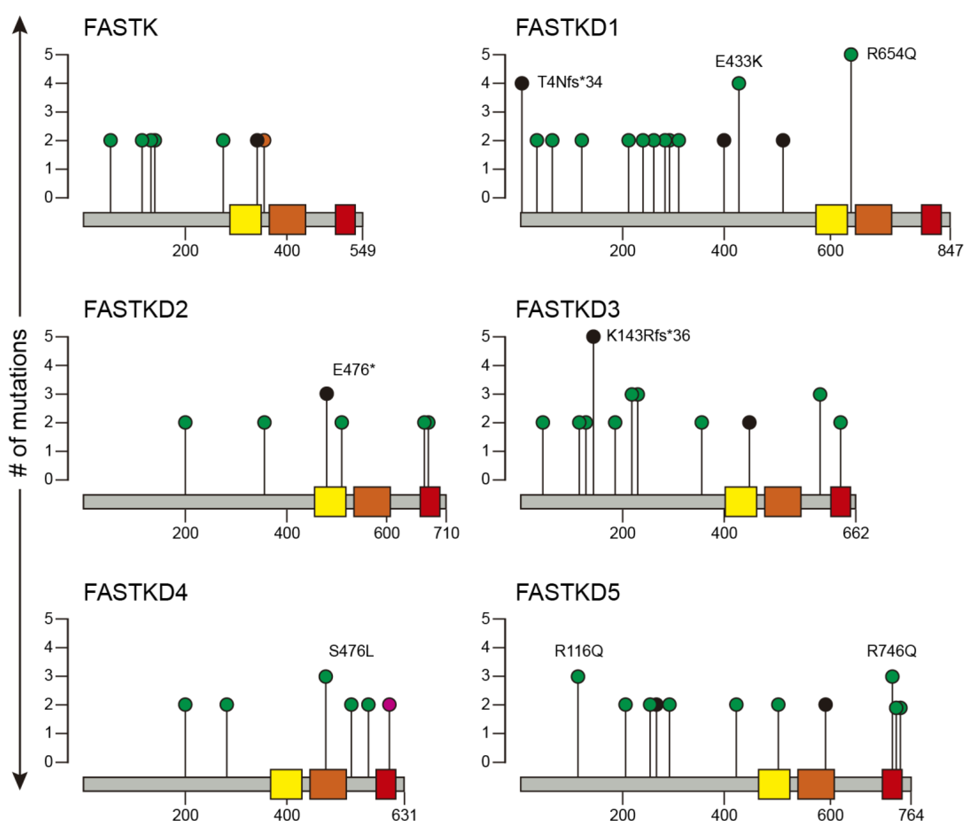 Ijms 22 11337 g002 550