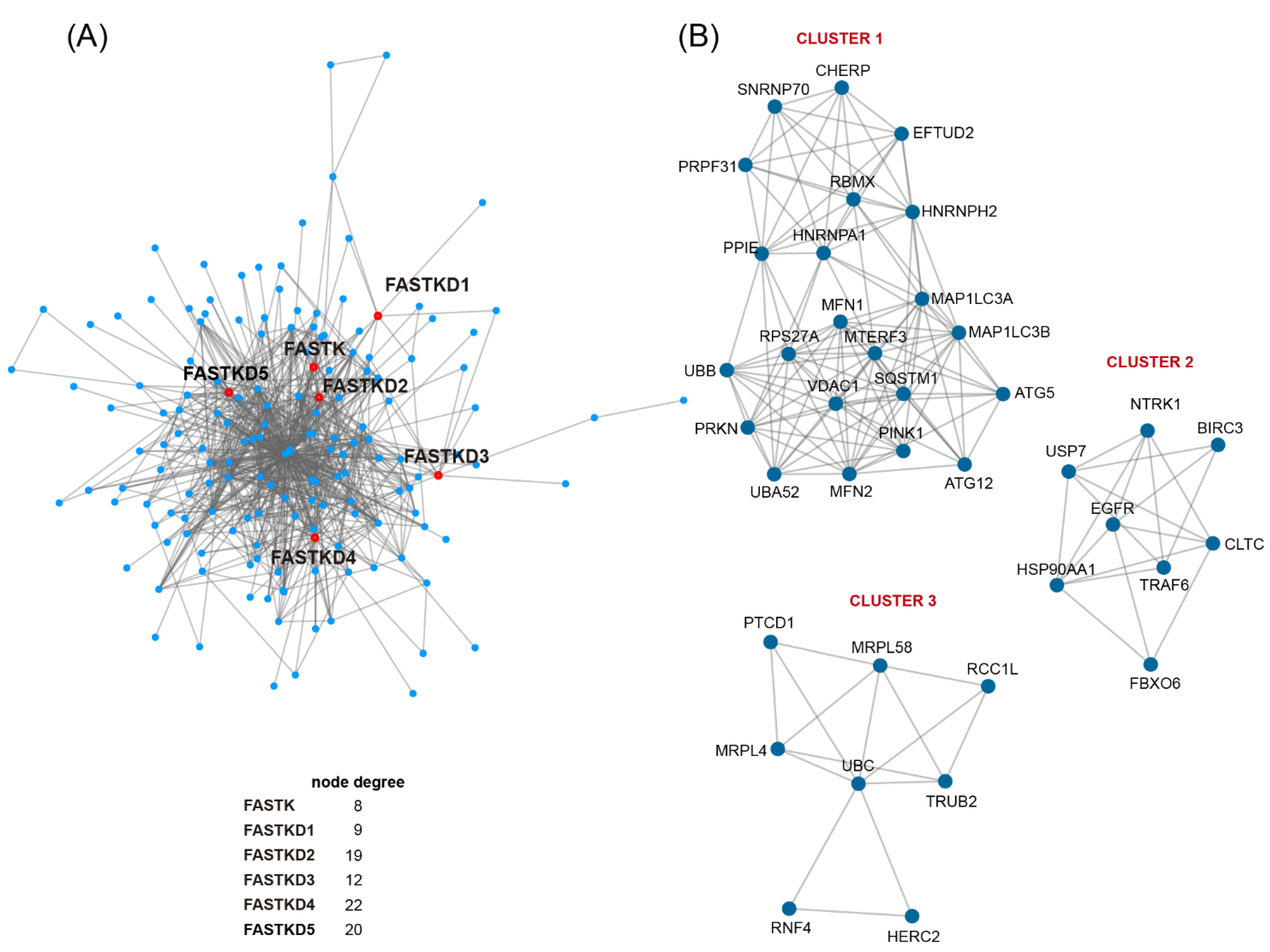 Ijms 22 11337 g004 550