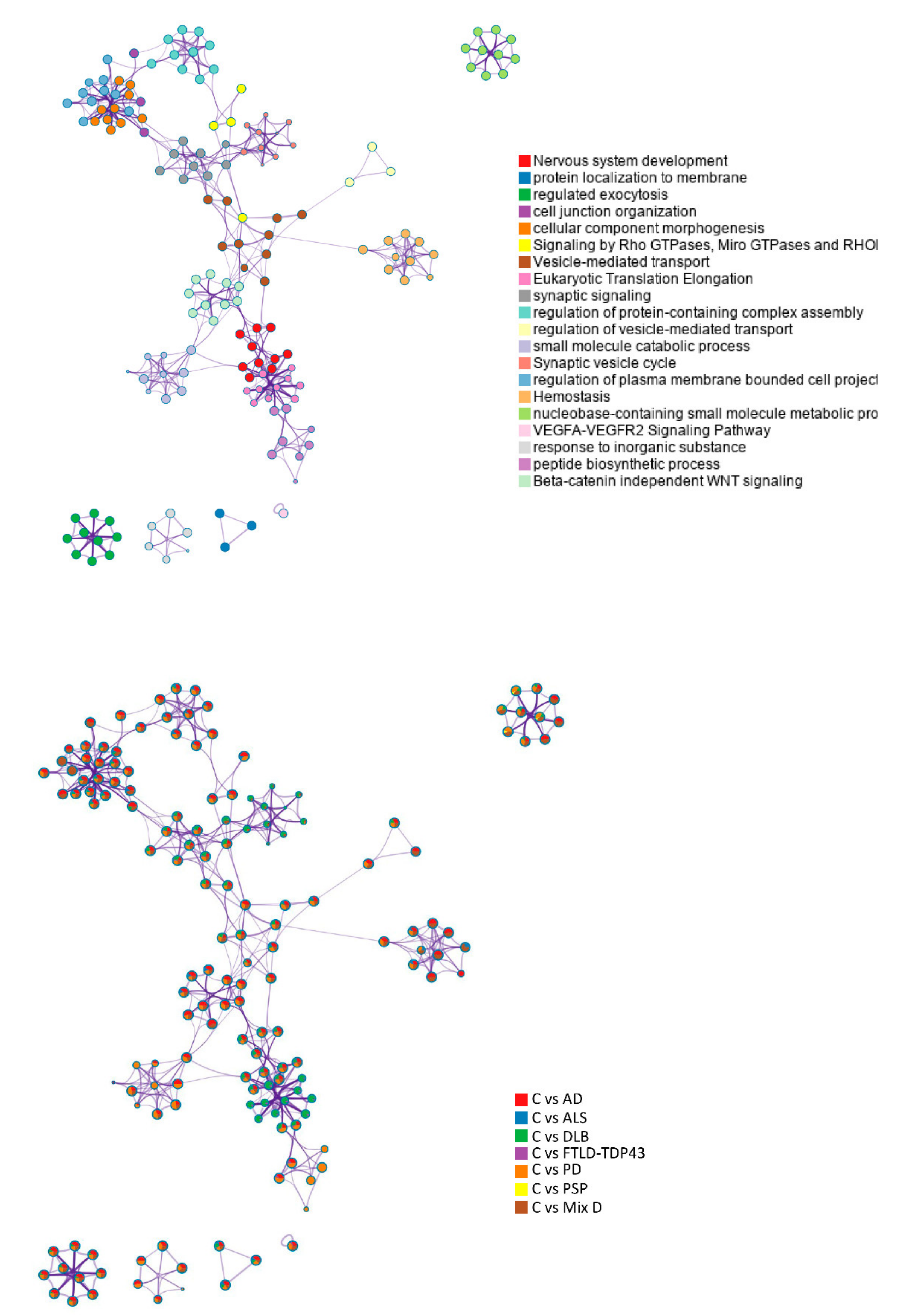 Ijms 22 11340 g002 550