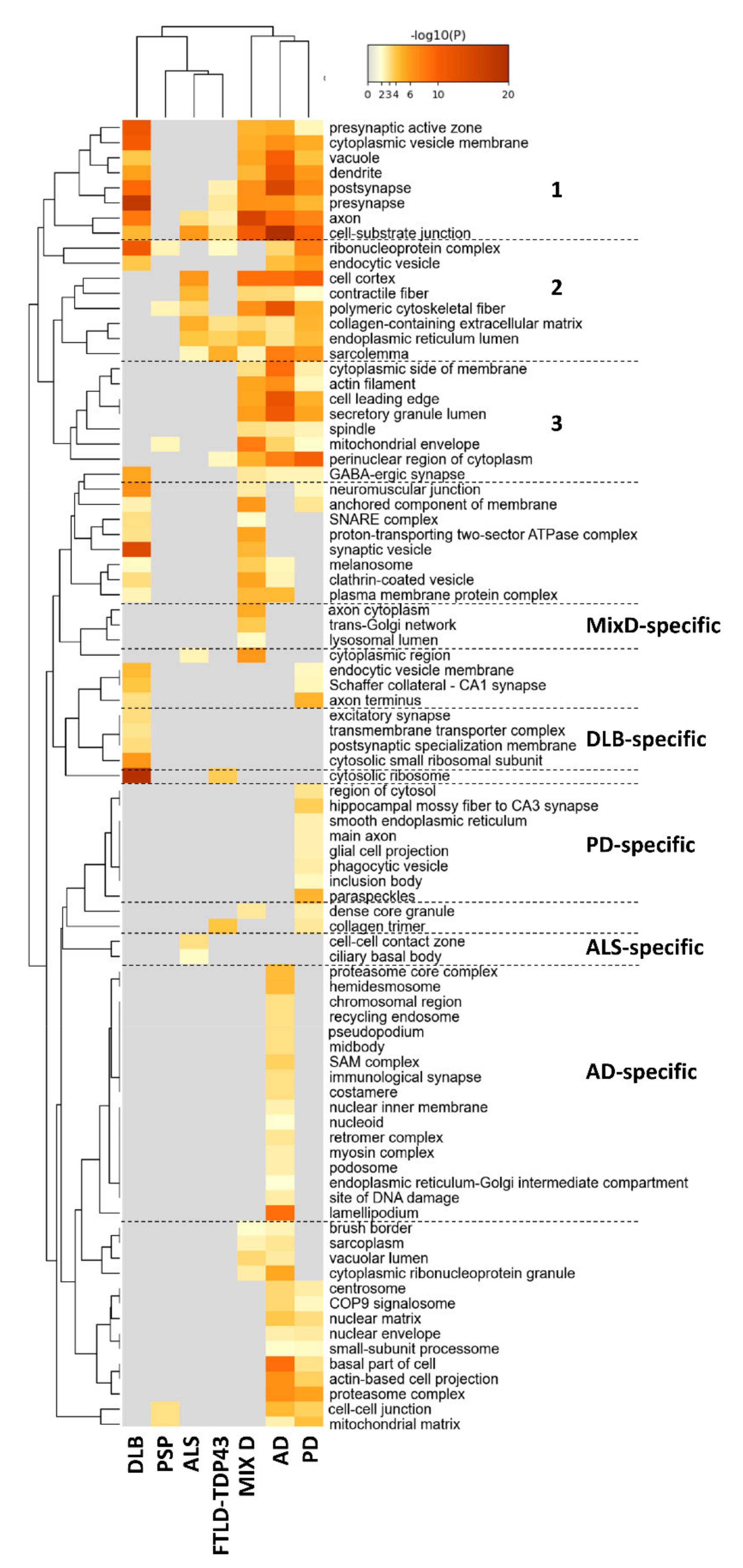 Ijms 22 11340 g004 550