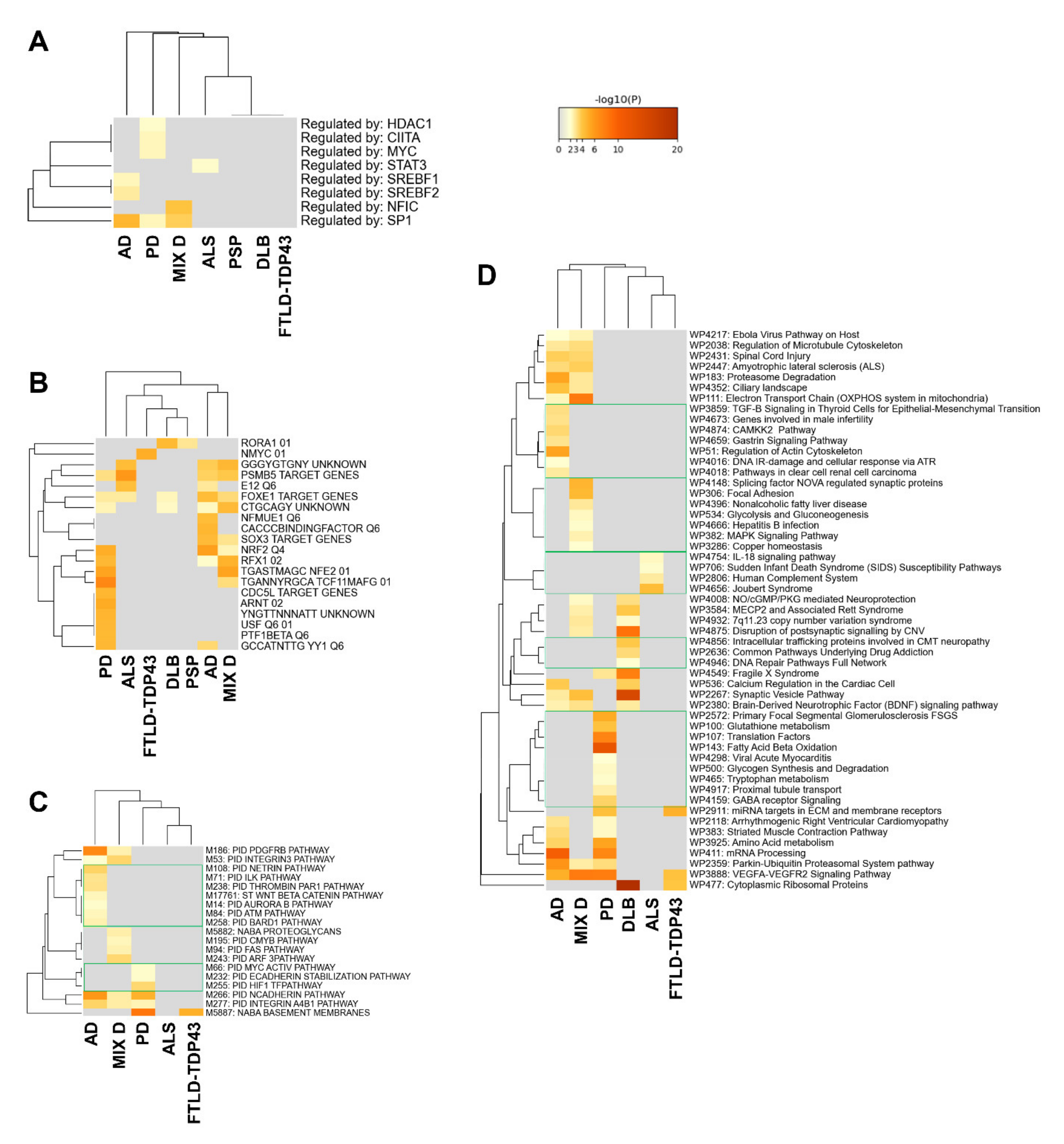 Ijms 22 11340 g005 550