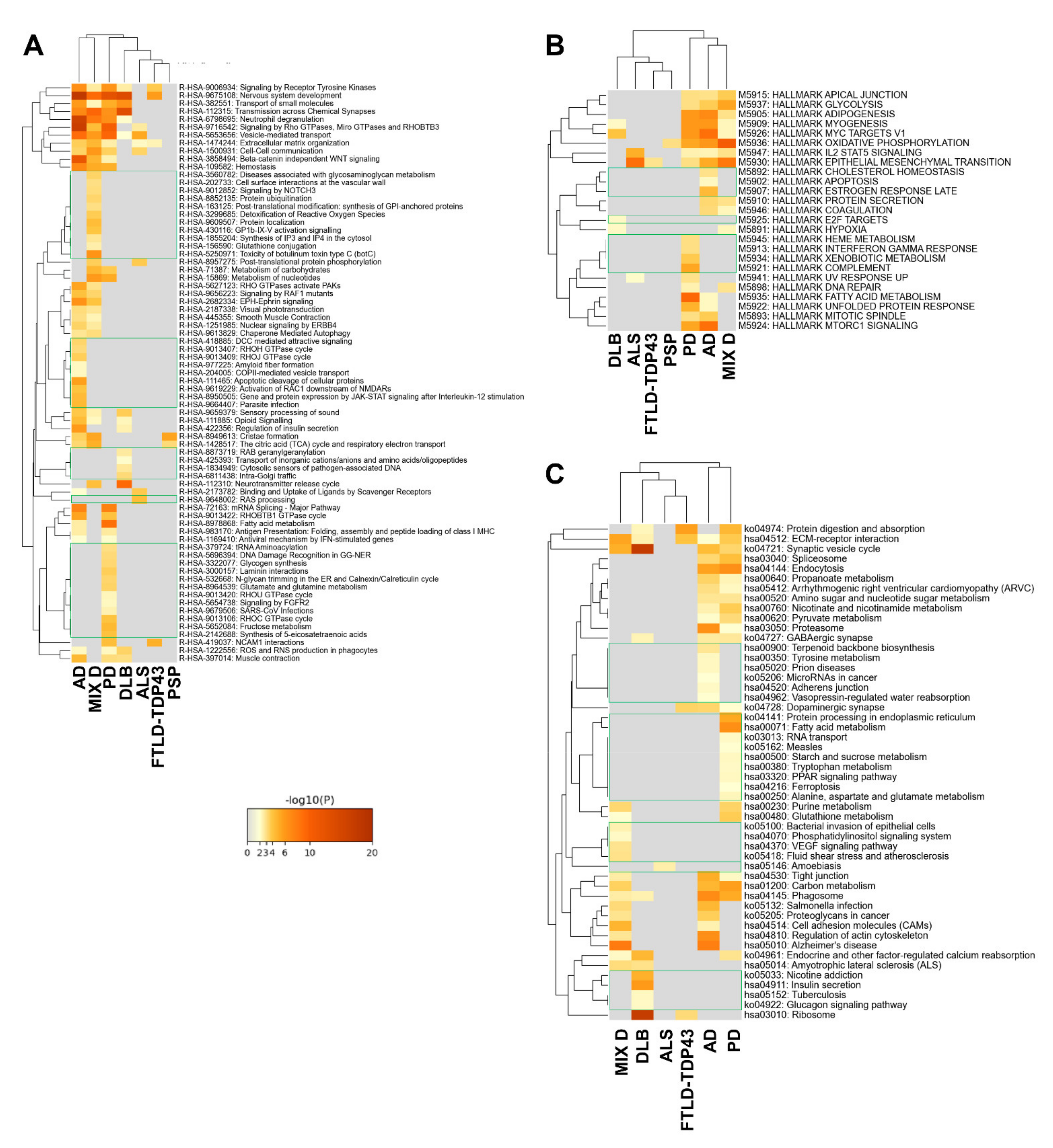 Ijms 22 11340 g006 550