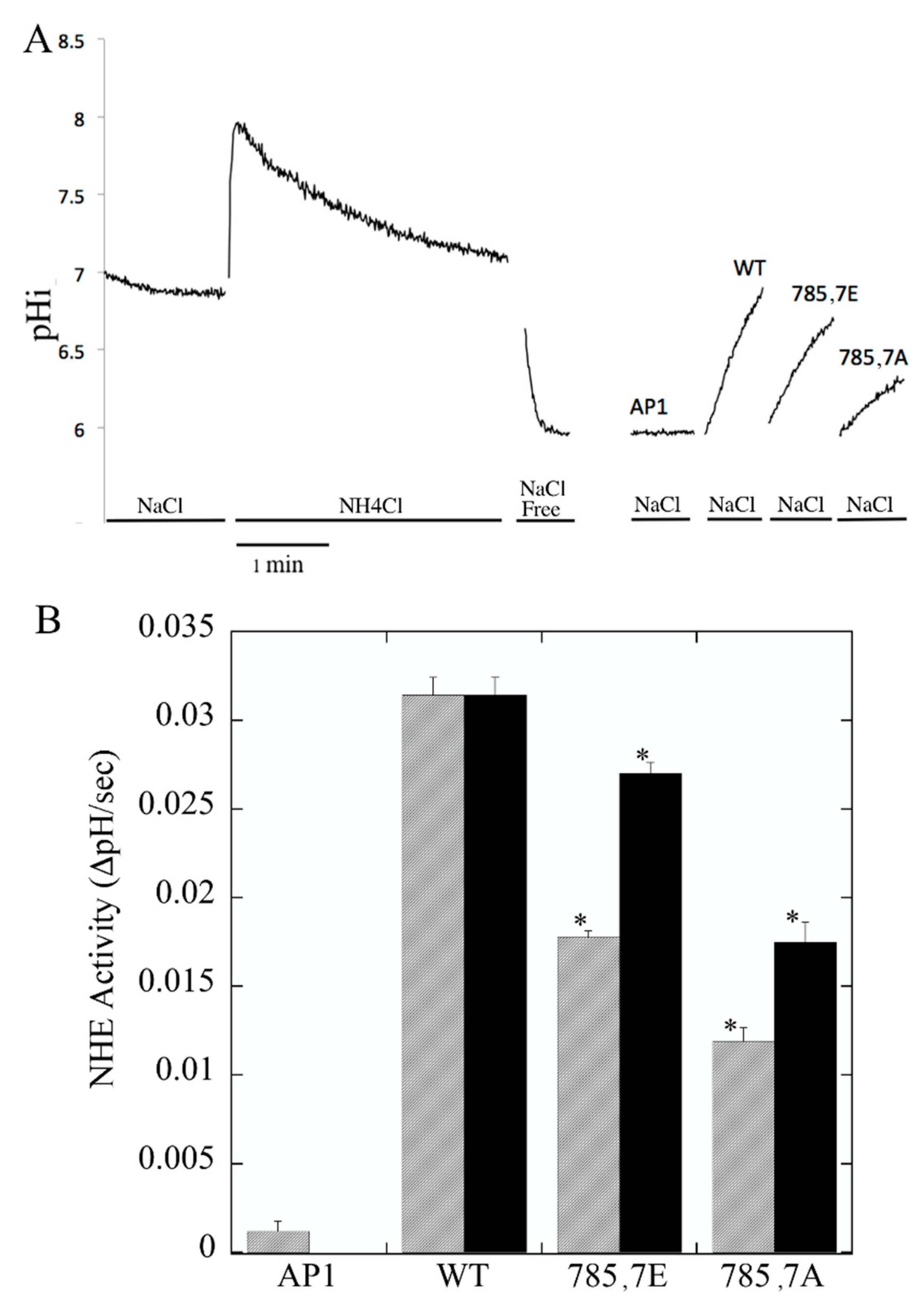 Ijms 22 11349 g002 550