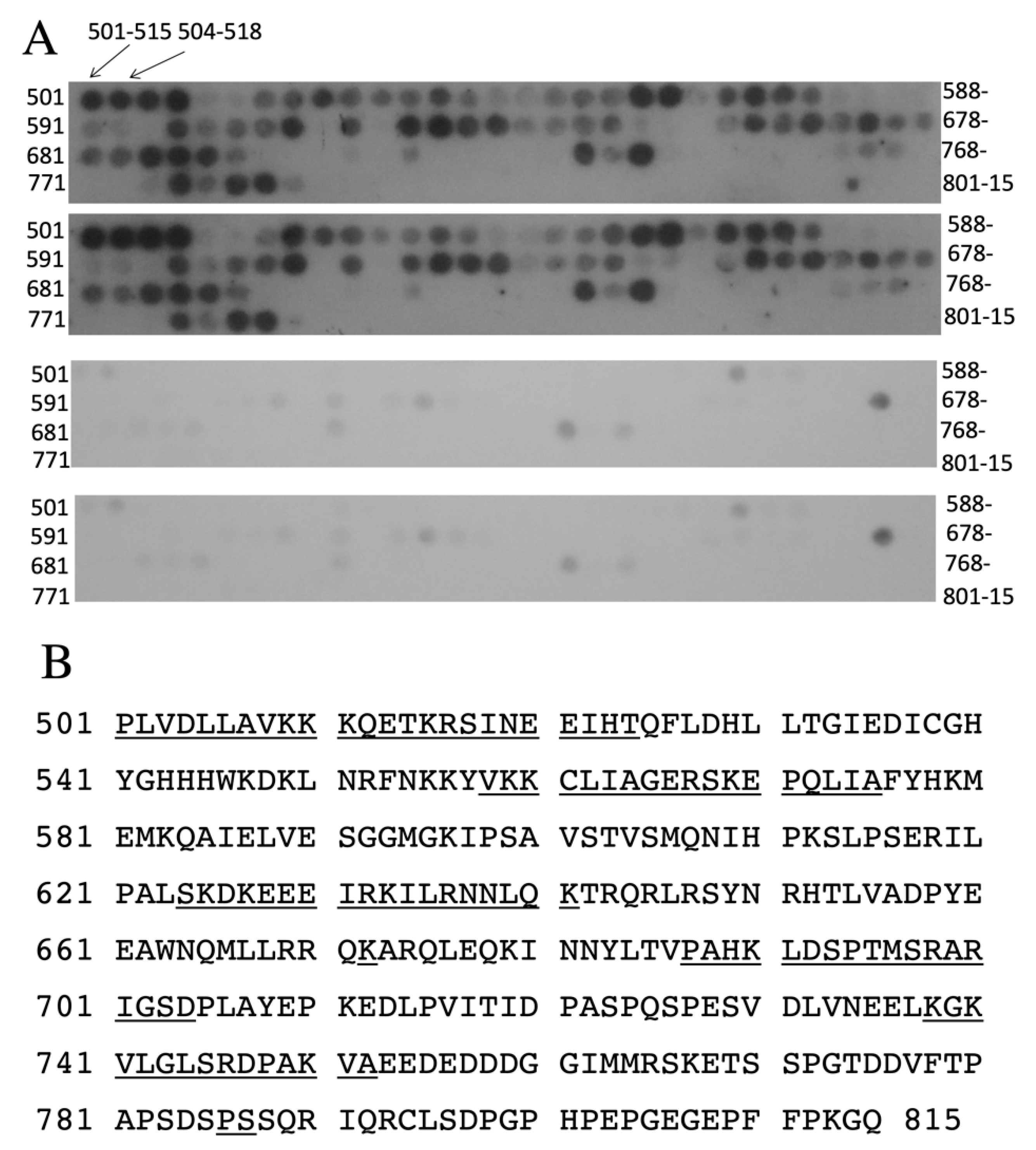 Ijms 22 11349 g006 550