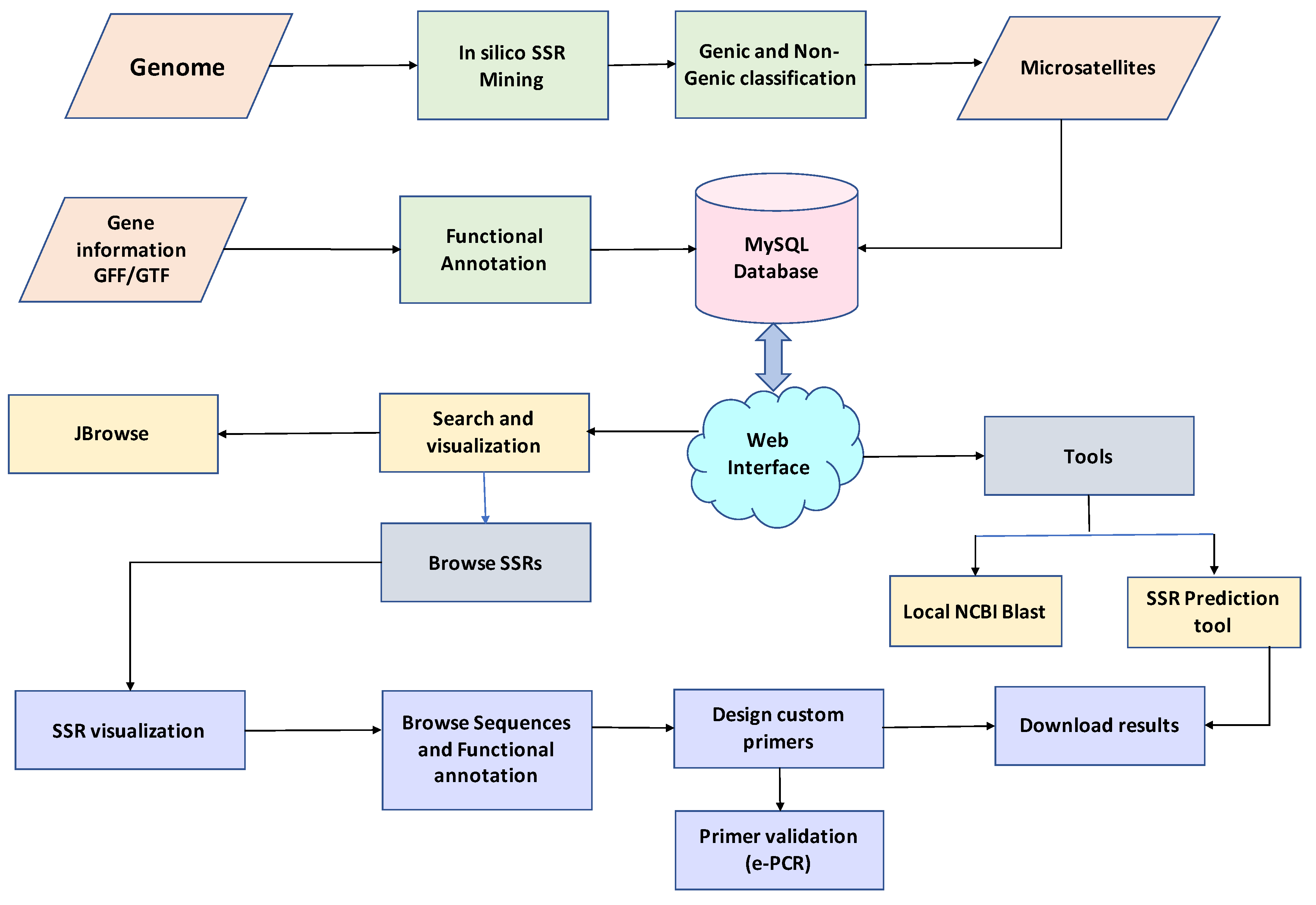 Ijms 22 11350 g001 Ijms 22 11350 g001