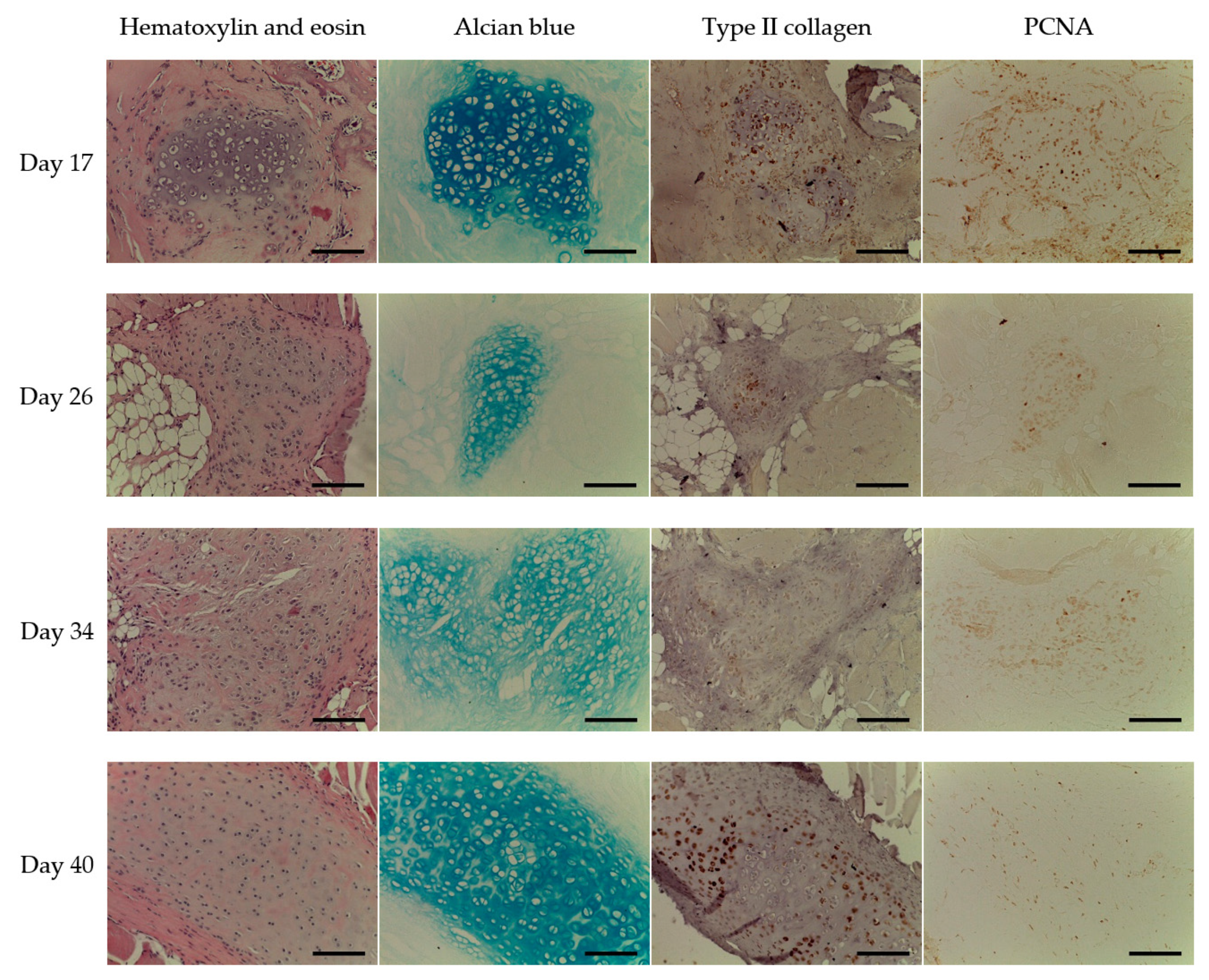 Ijms 22 11351 g006 550