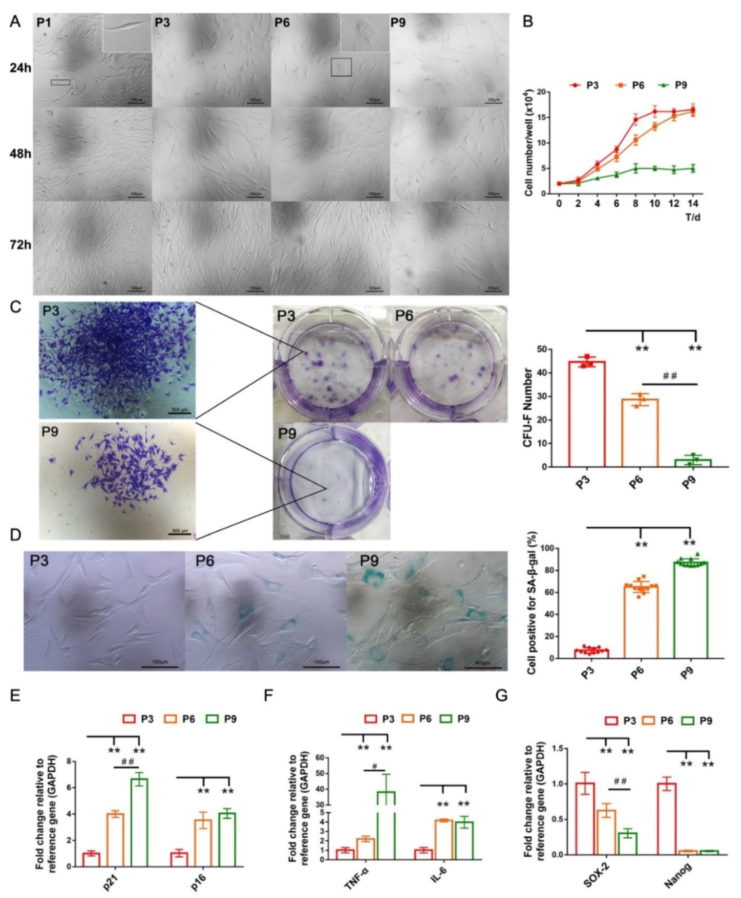 Ijms 22 11356 g002 Ijms 22 11356 g002