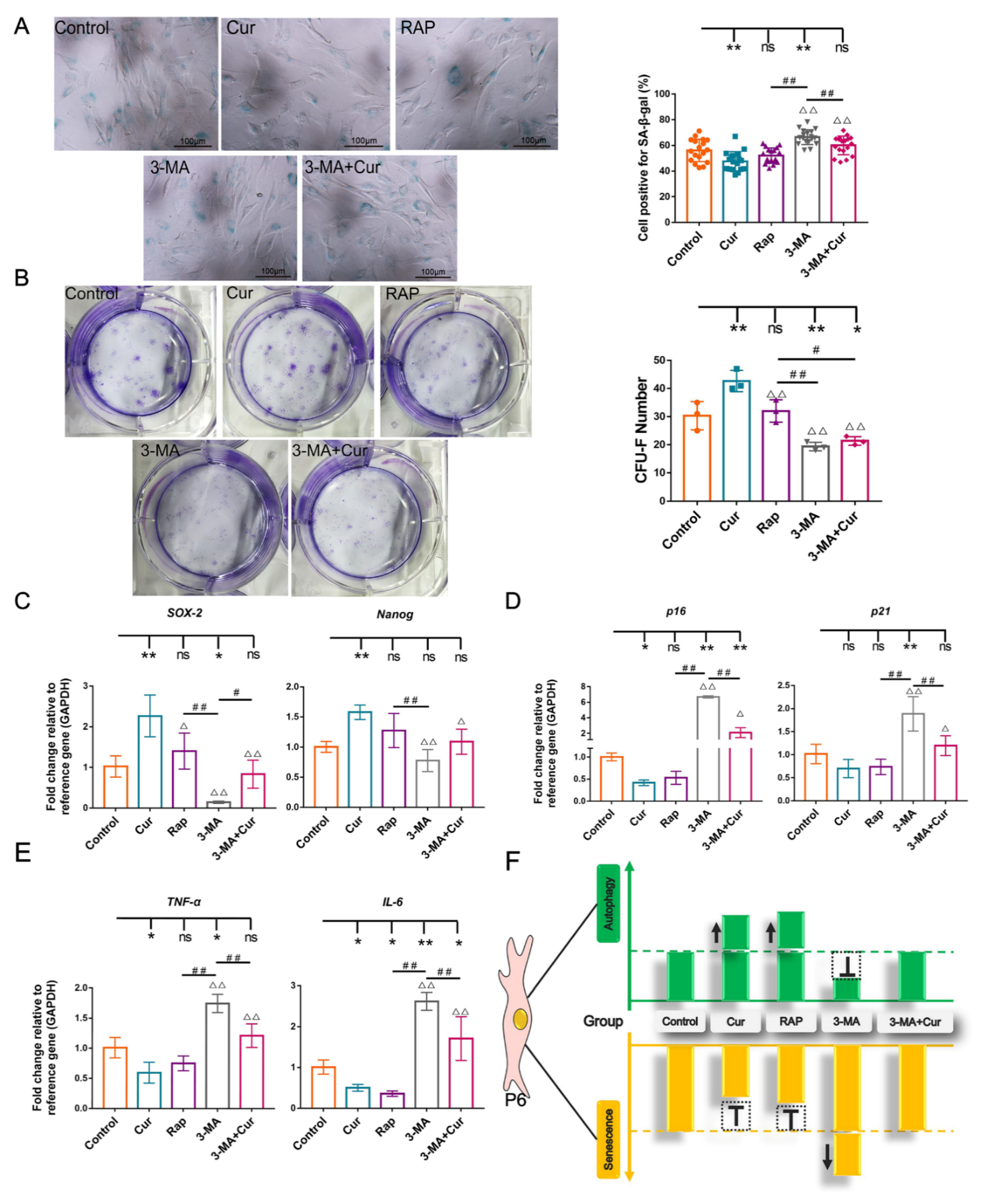 Ijms 22 11356 g006 Ijms 22 11356 g006