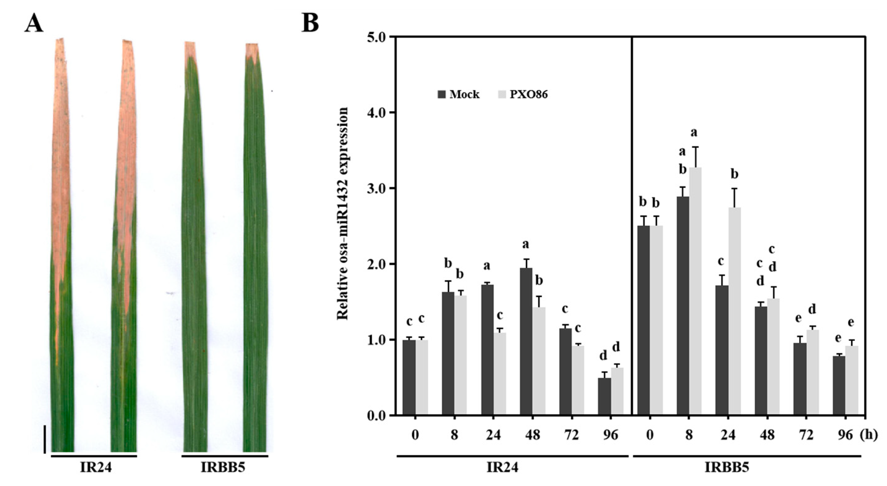 Ijms 22 11367 g001 550