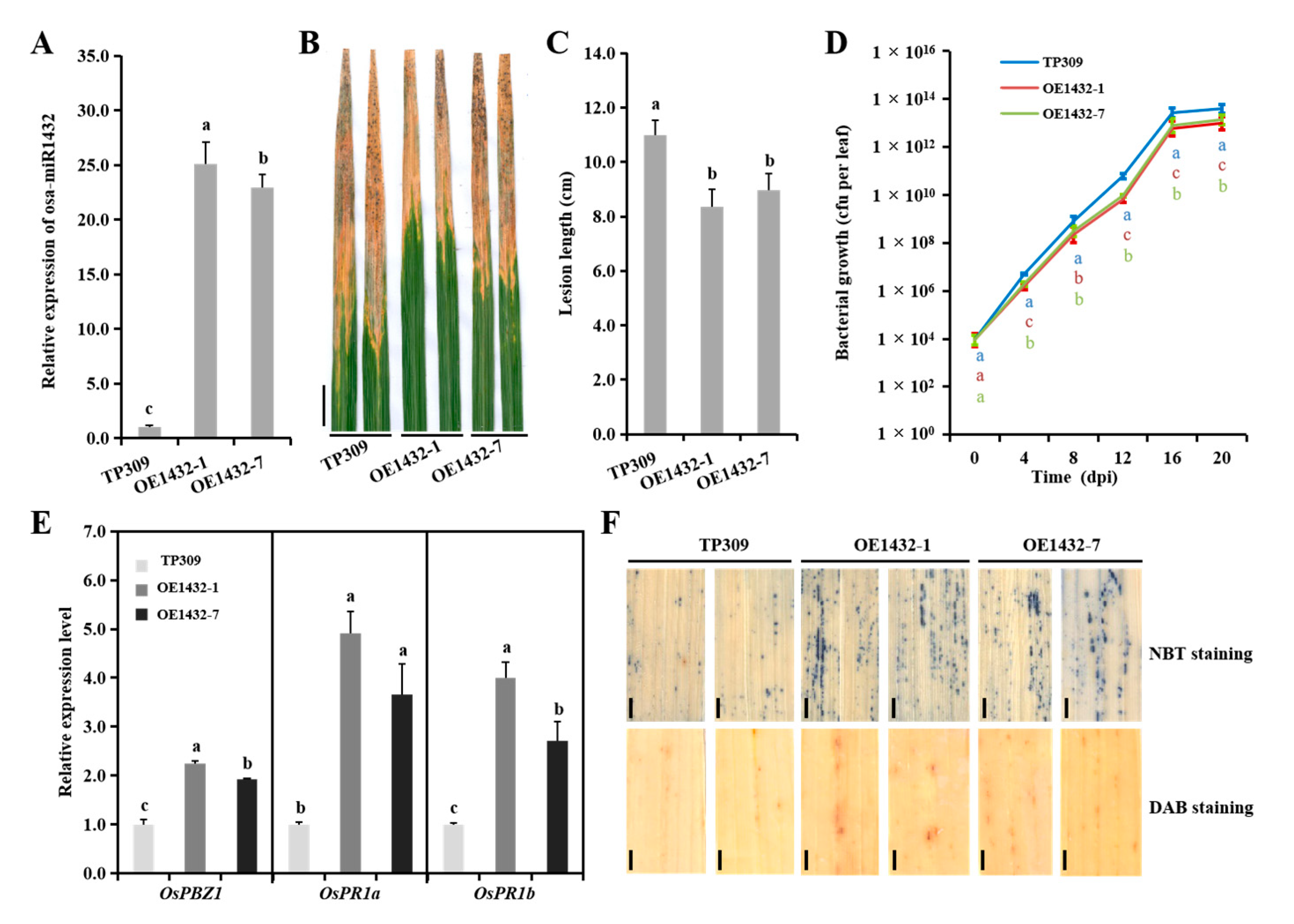Ijms 22 11367 g002 550