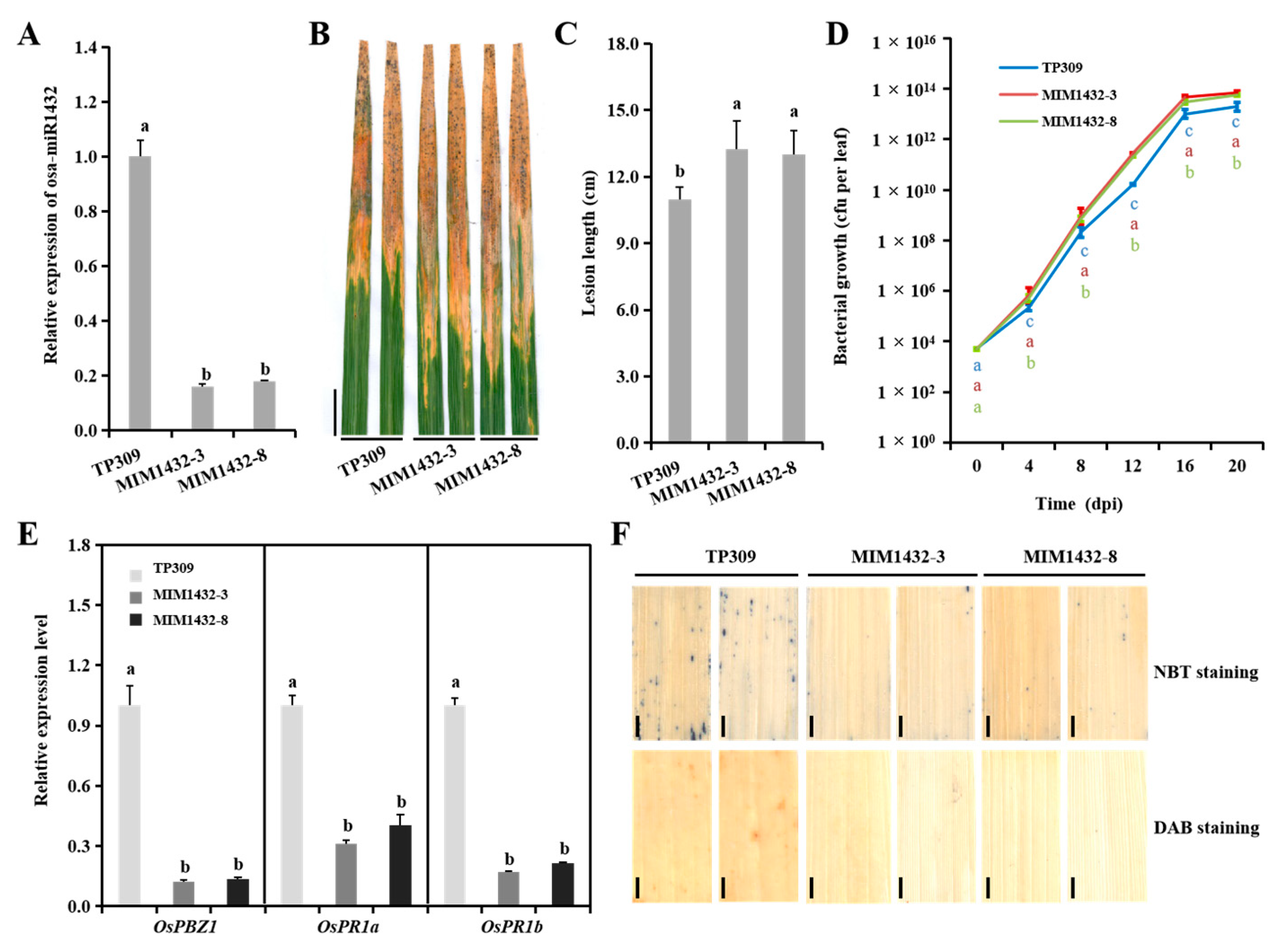 Ijms 22 11367 g003 550