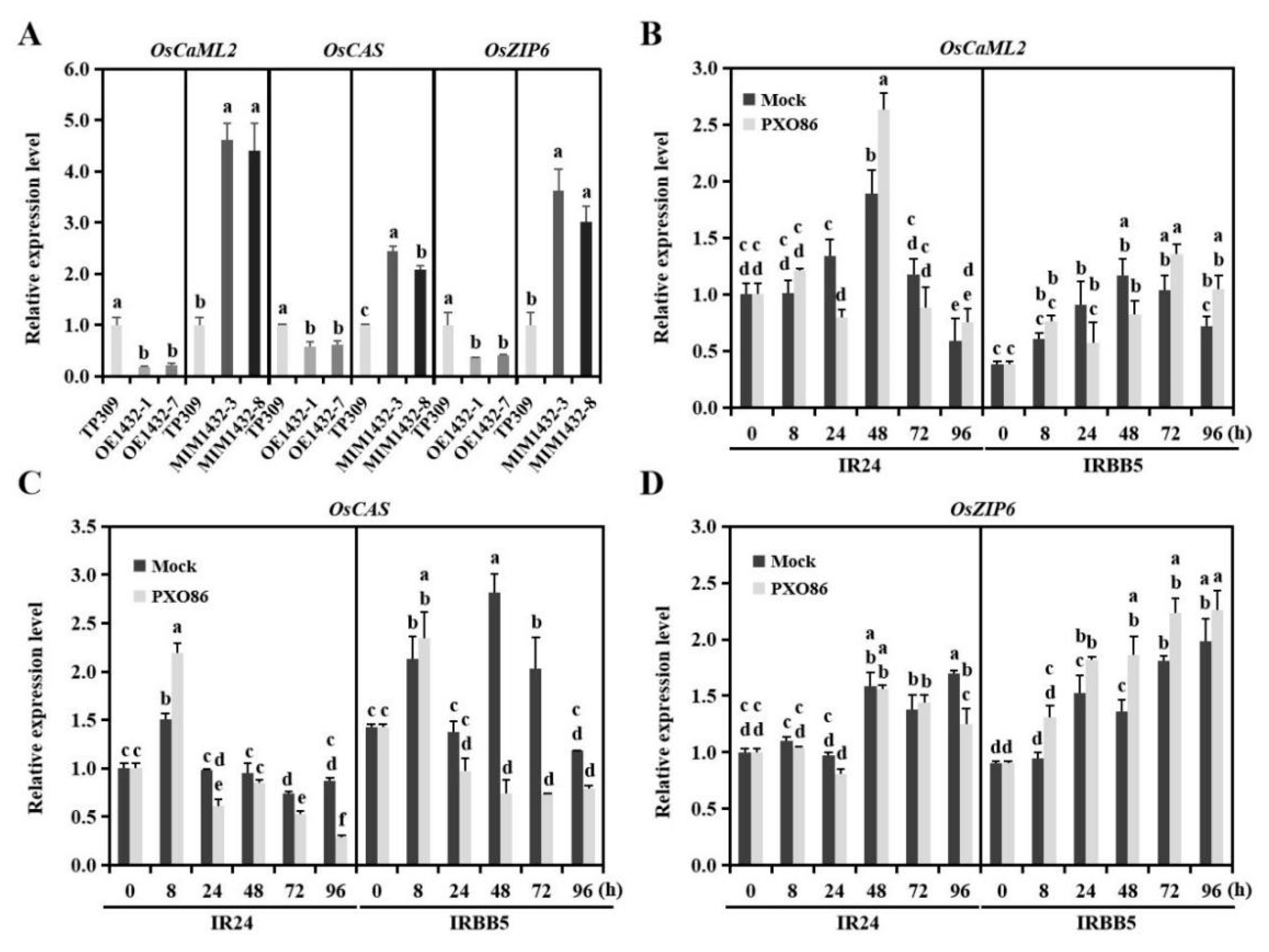 Ijms 22 11367 g004 550