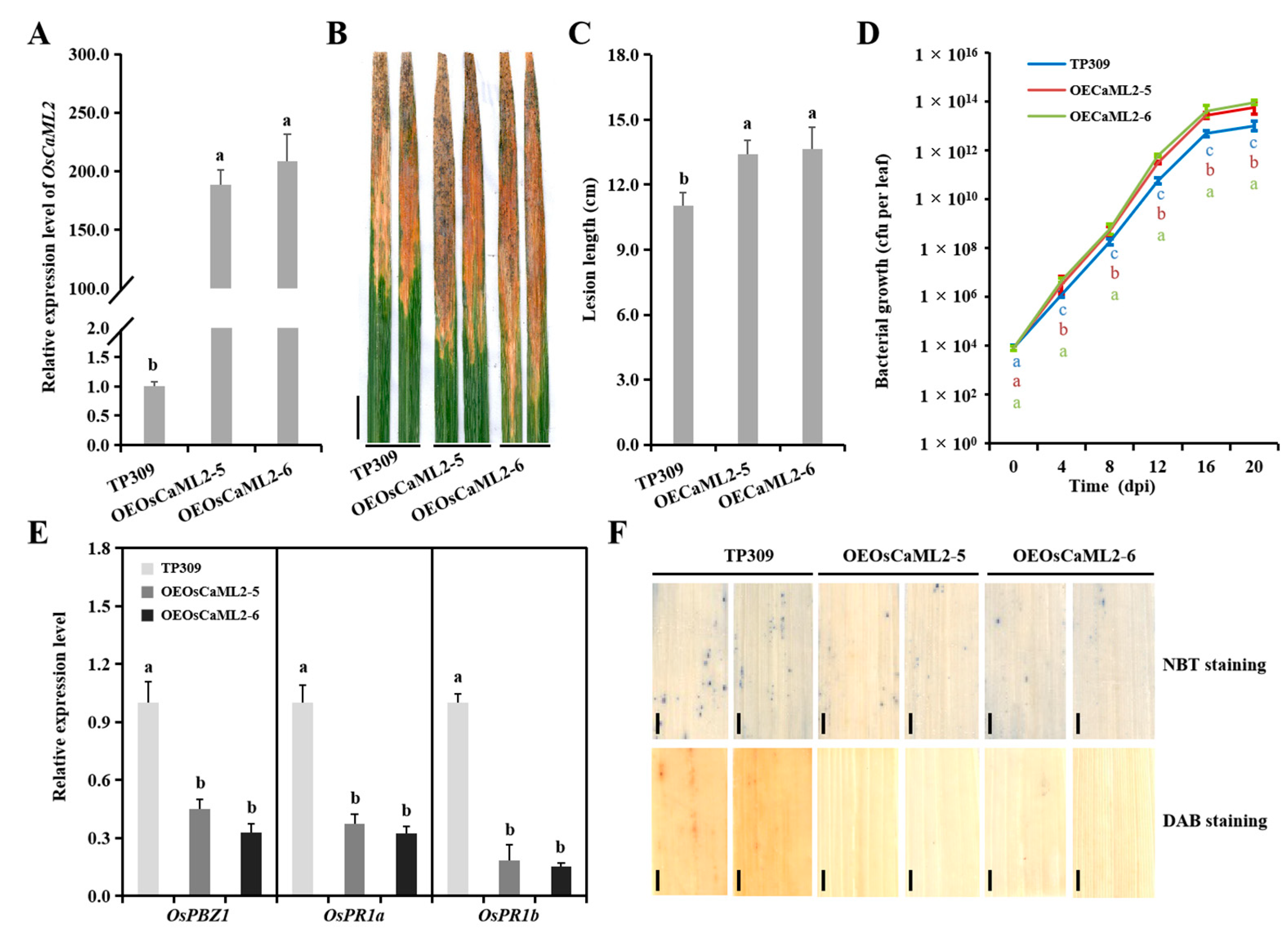 Ijms 22 11367 g005 550
