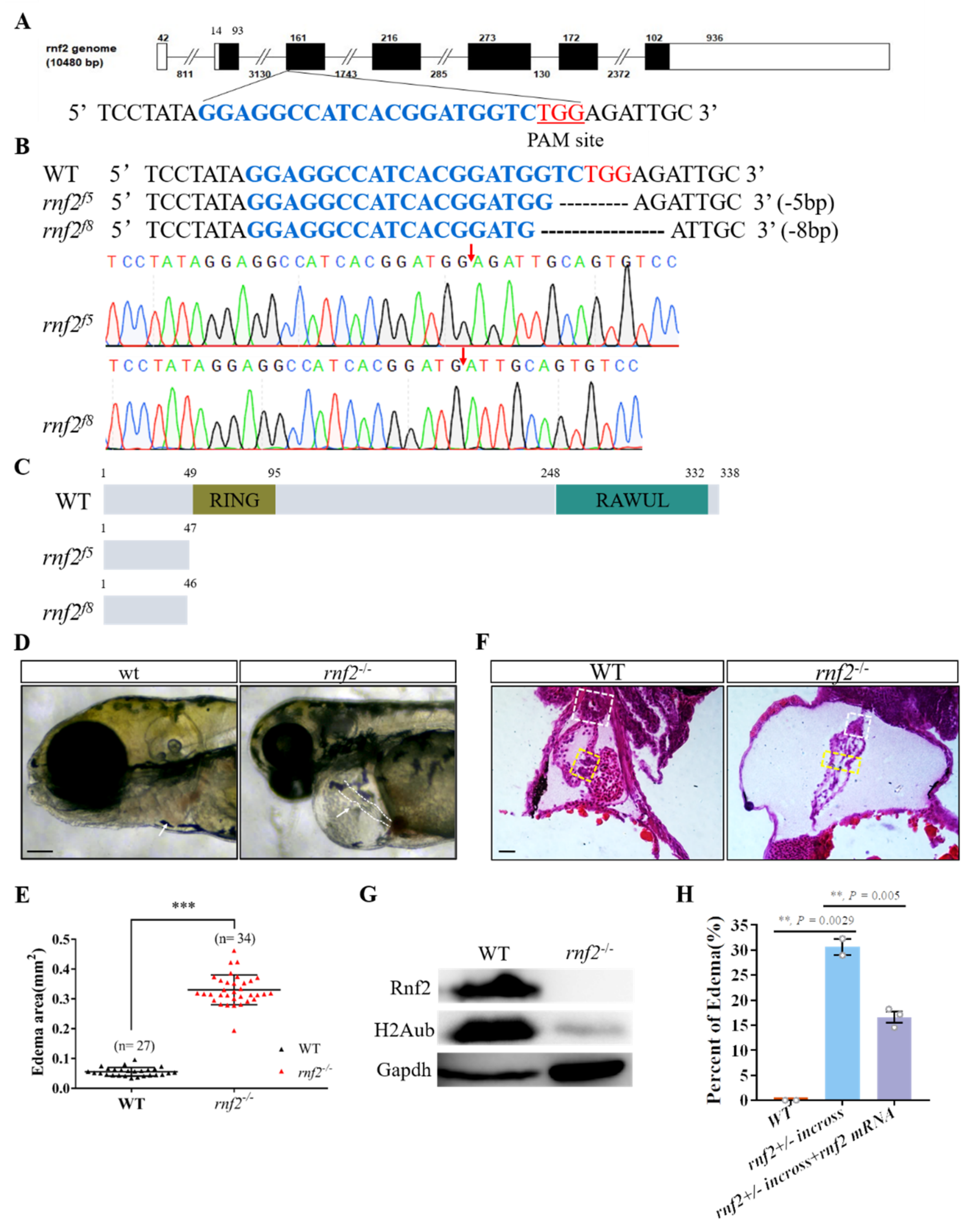 Ijms 22 11368 g001 Ijms 22 11368 g001