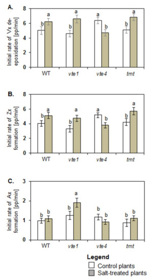To A Highly Efficient Cross‐Coupling Mode via the Release of