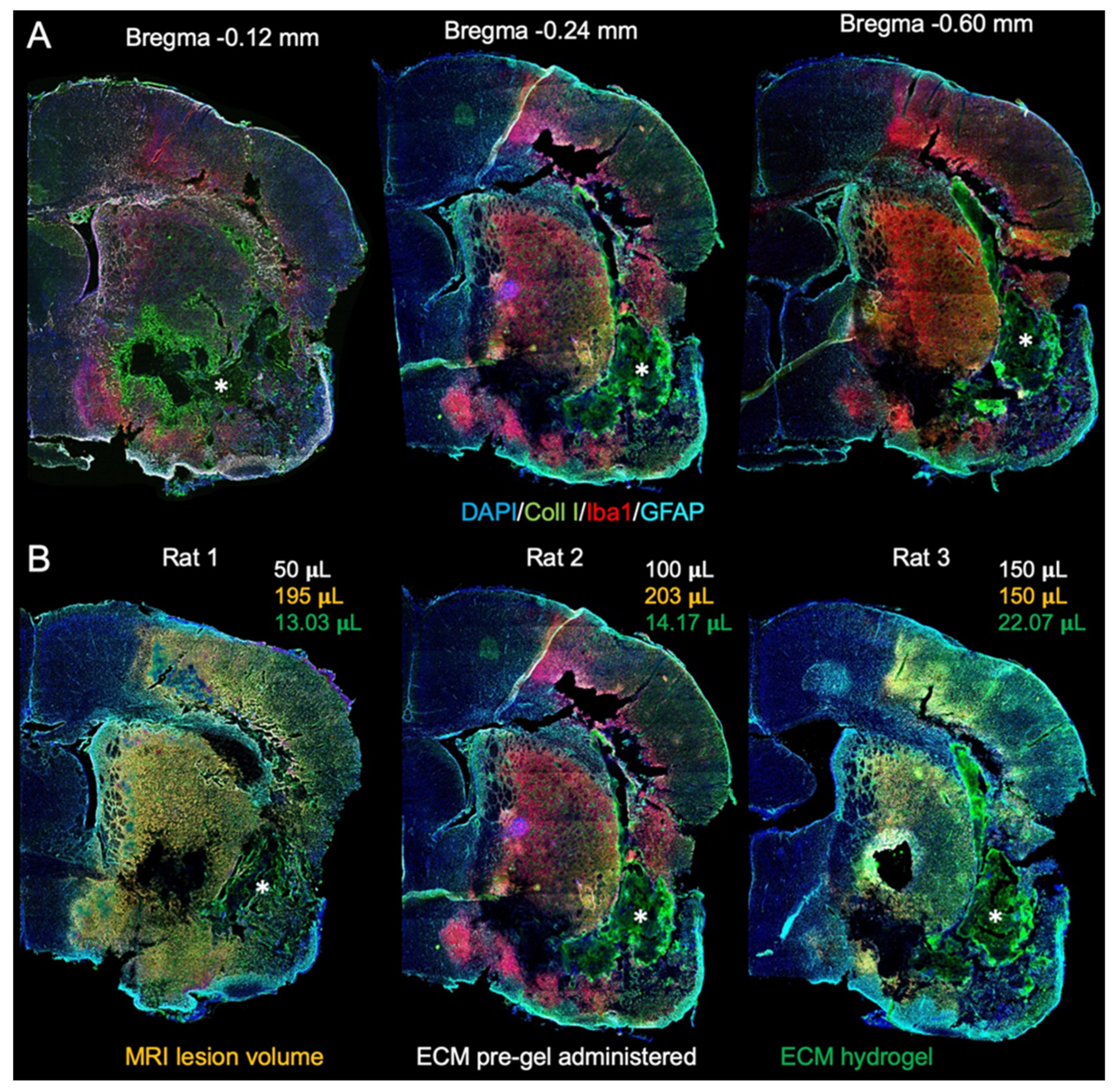 Ijms 22 11372 g001 550