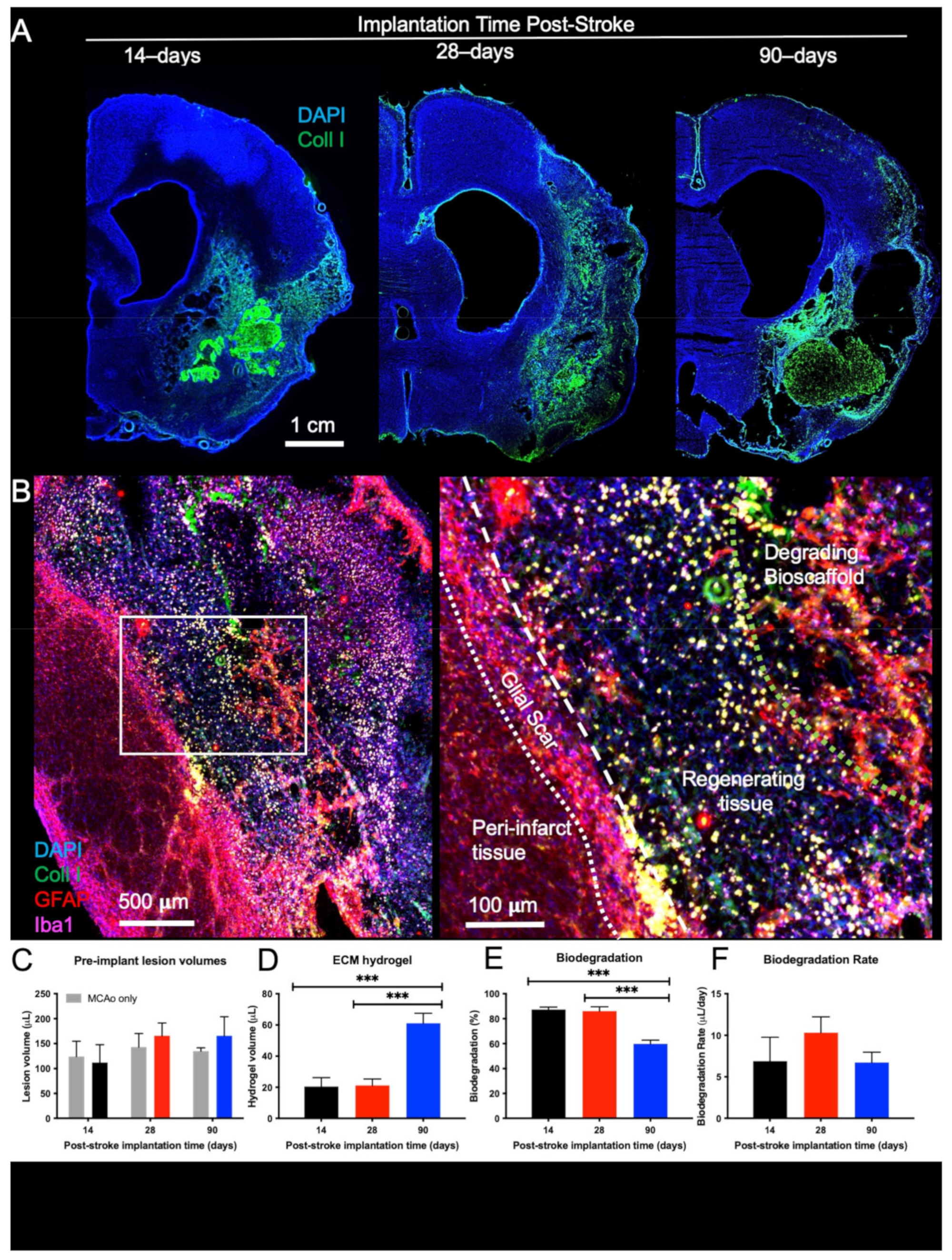 Ijms 22 11372 g002 550