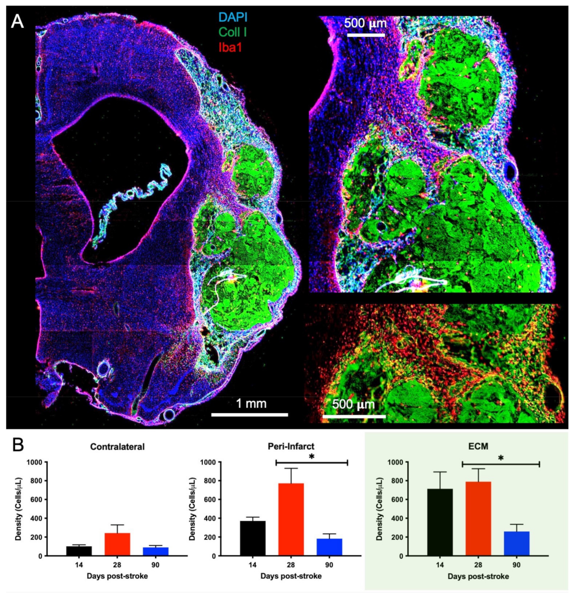 Ijms 22 11372 g005 550
