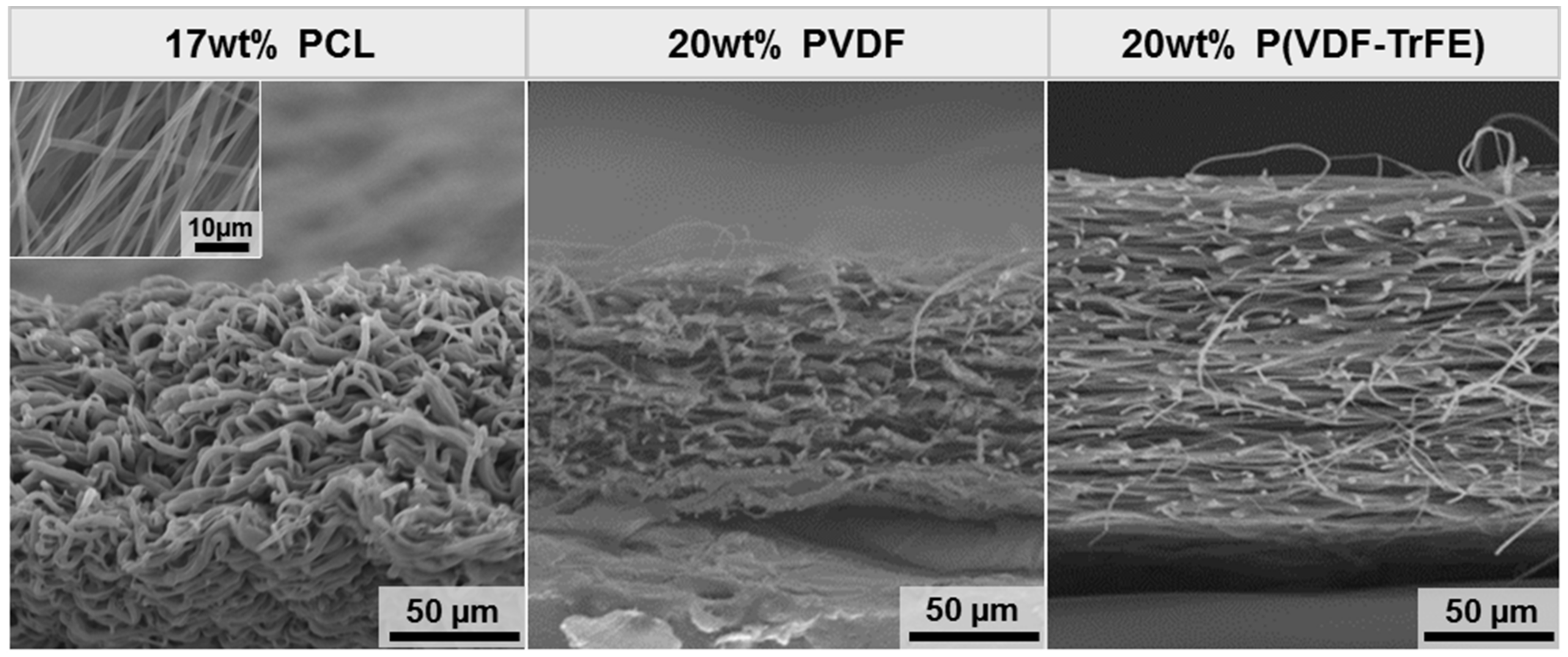 Ijms 22 11373 g002 550