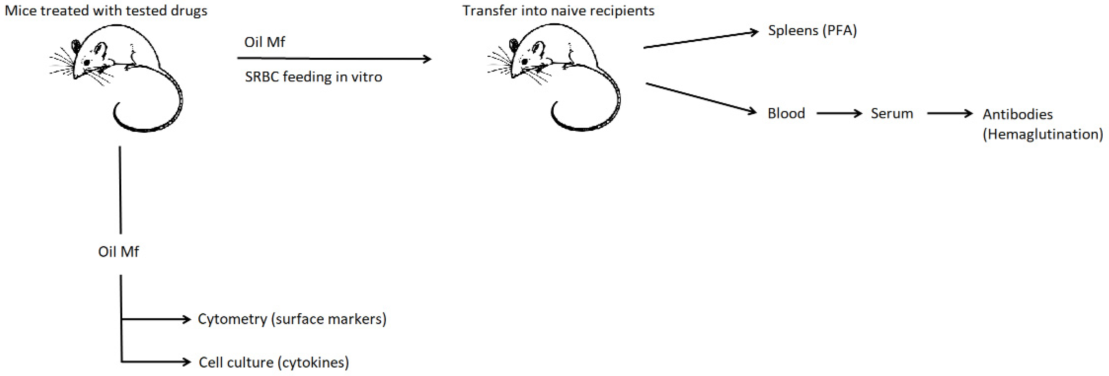 Ijms 22 11374 sch001 550